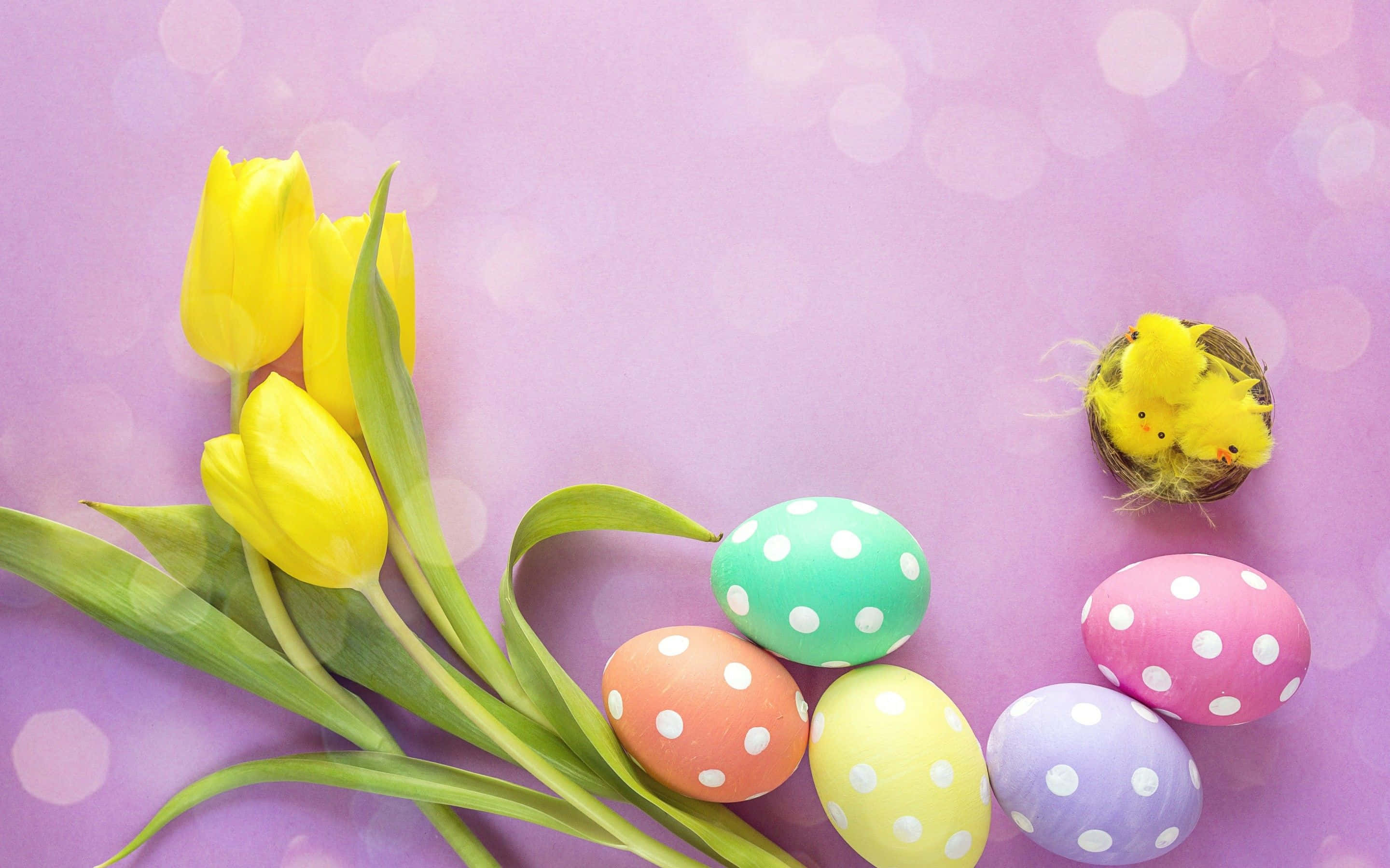 Pastel Easter 桌布 壁紙 — 鮮豔的黃色鬱金香和色彩繽紛的圓點復活節彩蛋，放置在柔和的紫色散景背景上，還有一隻毛茸茸的黃色小雞。
