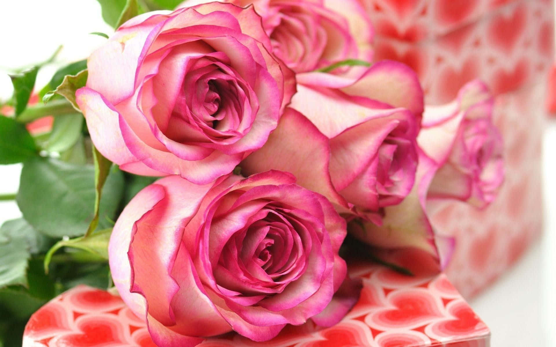 Cute Rose 桌布 壁紙 — 鮮豔粉紅玫瑰與綠葉的特寫，放置在紅色心形圖案盒子上。