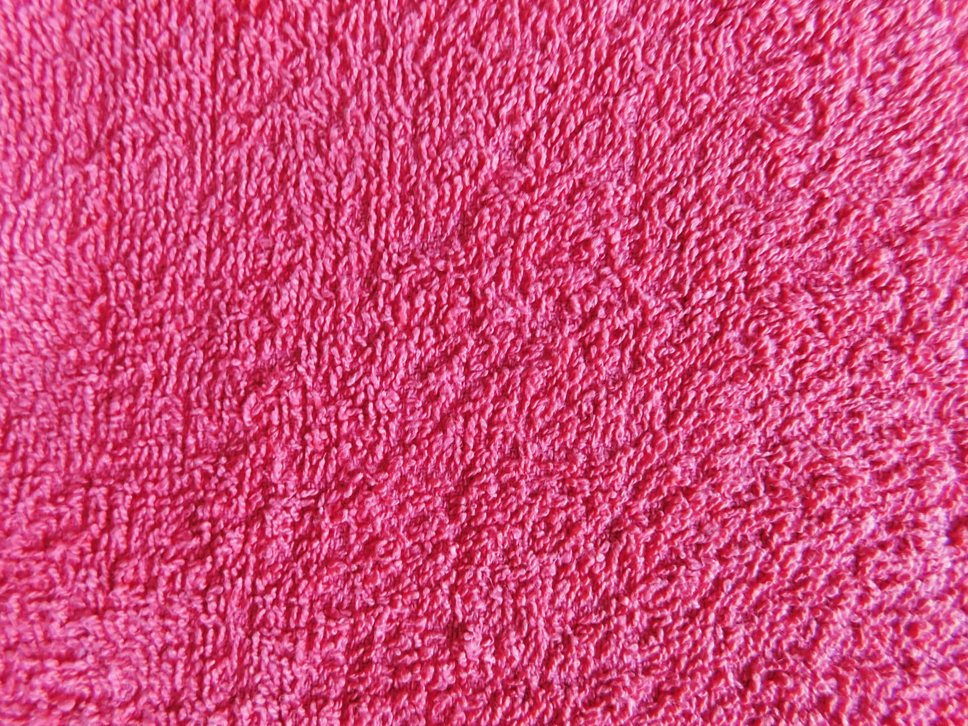 Carpet texture 壁紙 — 鮮豔粉紅色毛巾布的近距離特寫，展示其柔軟的環圈質感和豐富色彩。