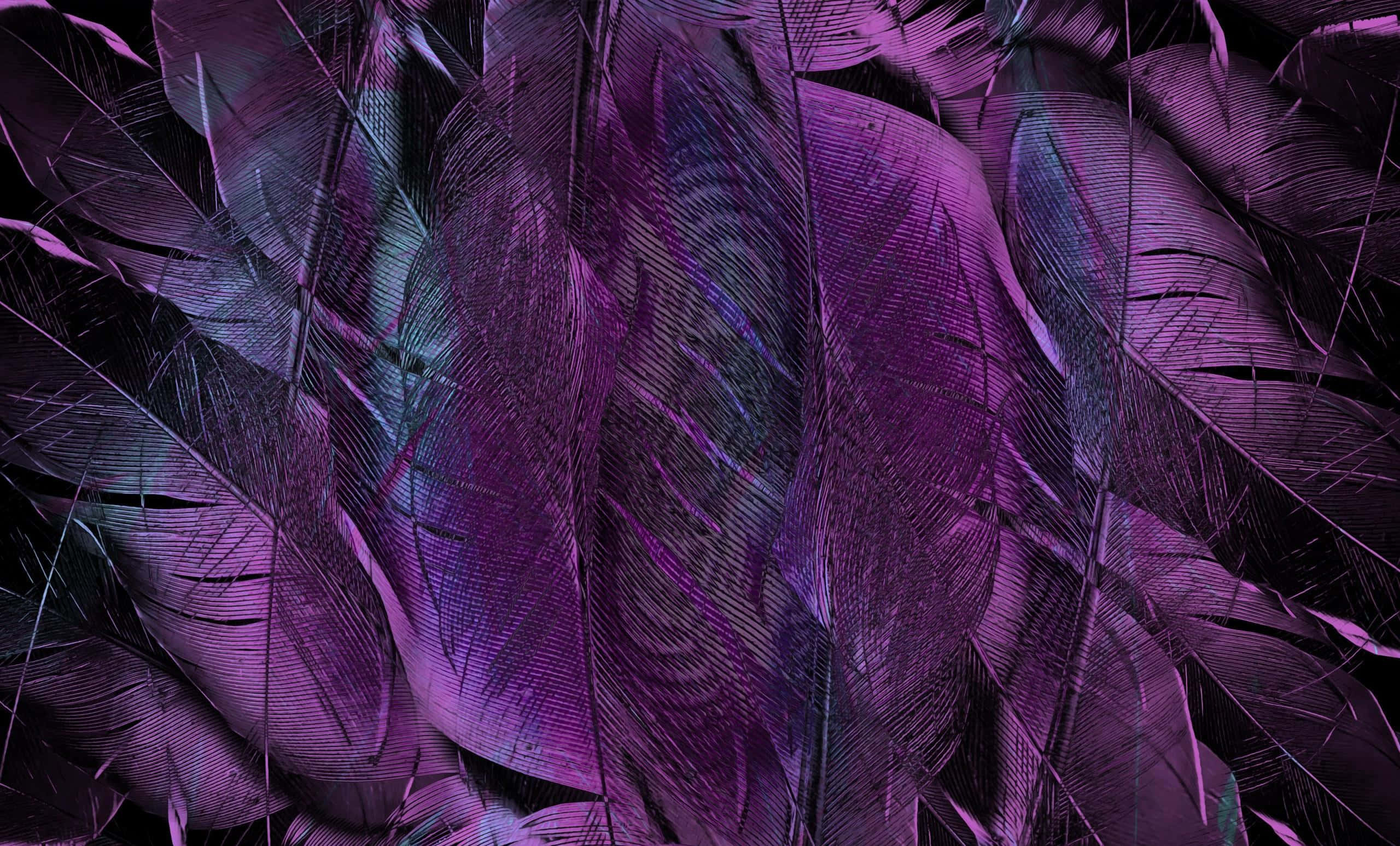 Purple Feathers 桌布 壁紙 — 鮮豔紫色羽毛的特寫，帶有複雜的倒刺和深色陰影，營造出豐富的紋理圖案。