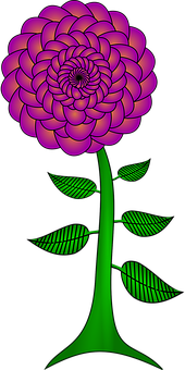 鮮豔霓虹花卉藝術 壁紙