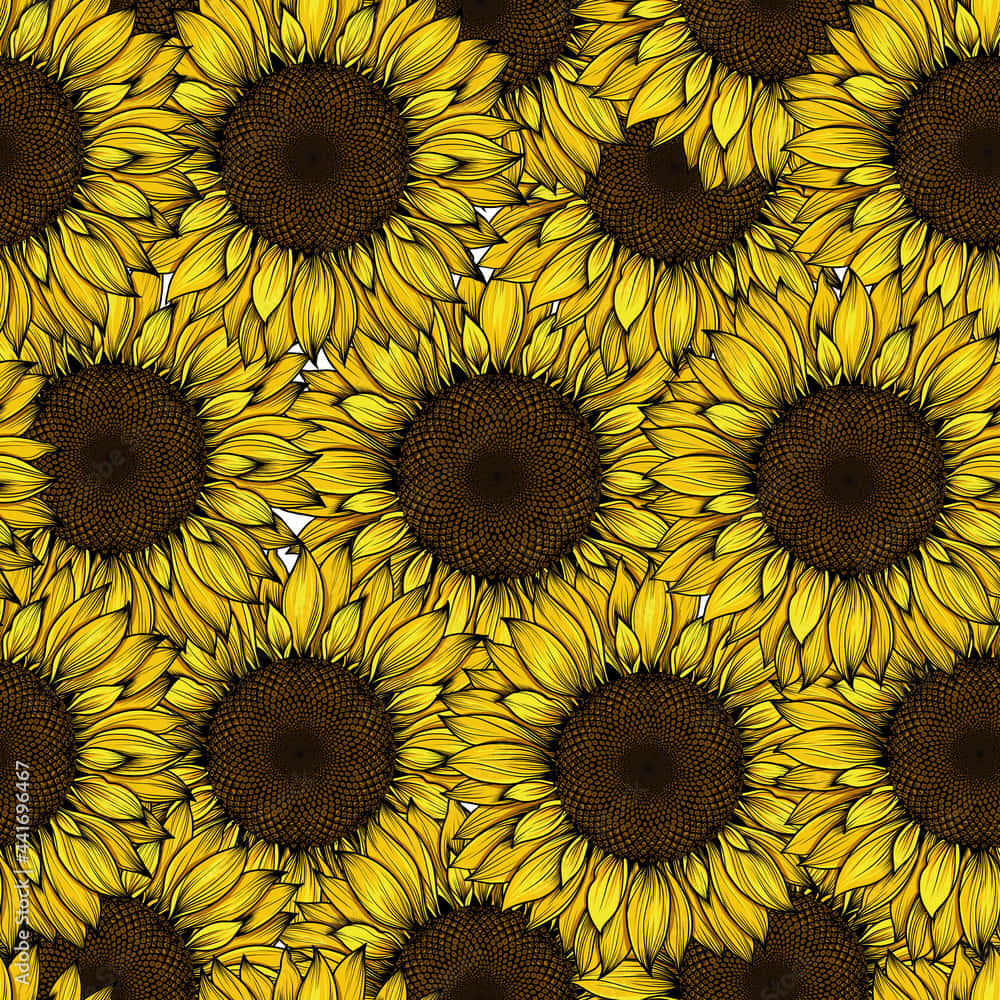 Yellow Sunflower Aesthetic 桌布 壁紙 — 鮮黃色向日葵，深色花心，在白色背景上以粗黑線條形成重複圖案。