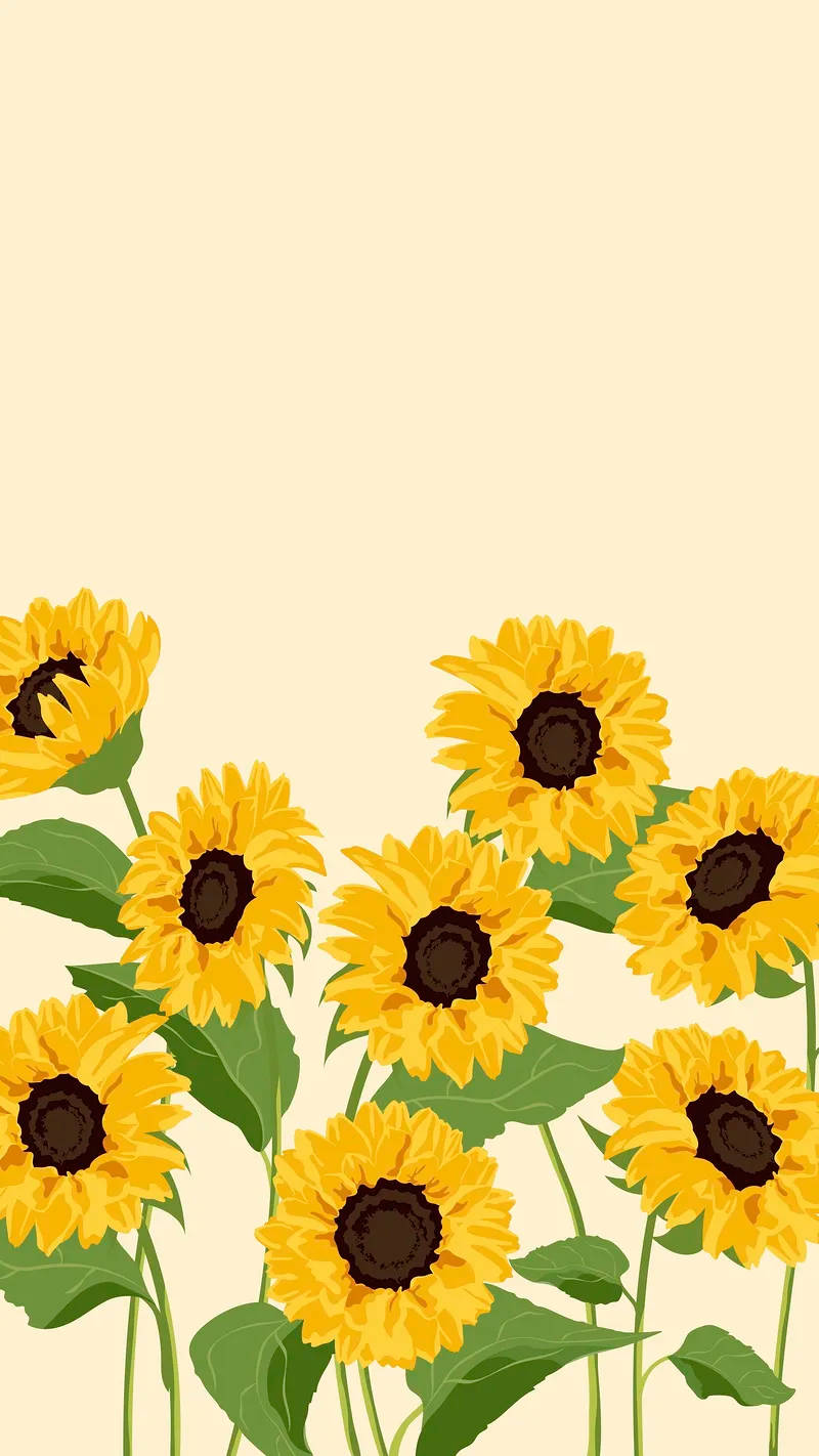 Spring iPhone 桌布 壁紙 — 鮮黃色向日葵，深色花心，綠葉，在柔和奶油色背景上盛開。