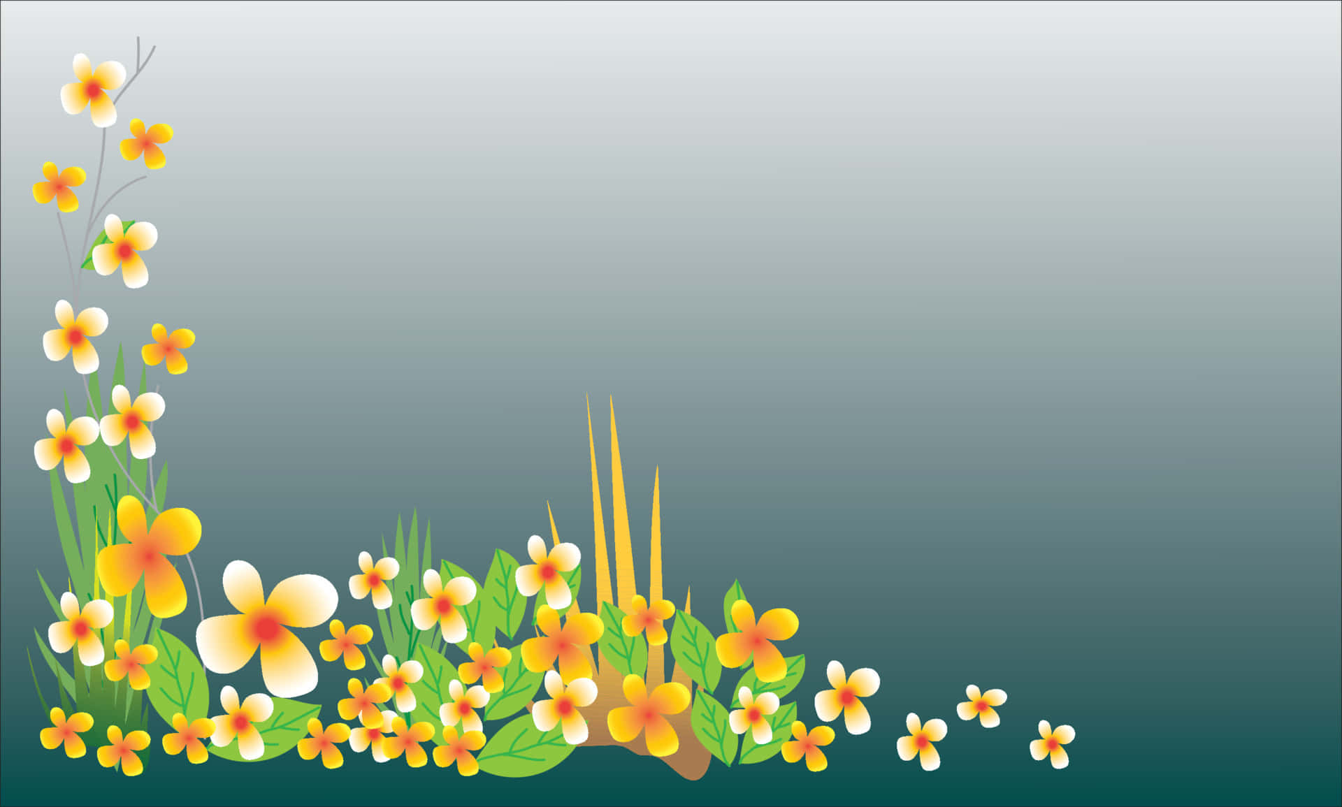 Beautiful Flower 桌布 壁紙 — 鮮黃色和白色的雞蛋花與綠葉在漸層青綠色背景上盛開。