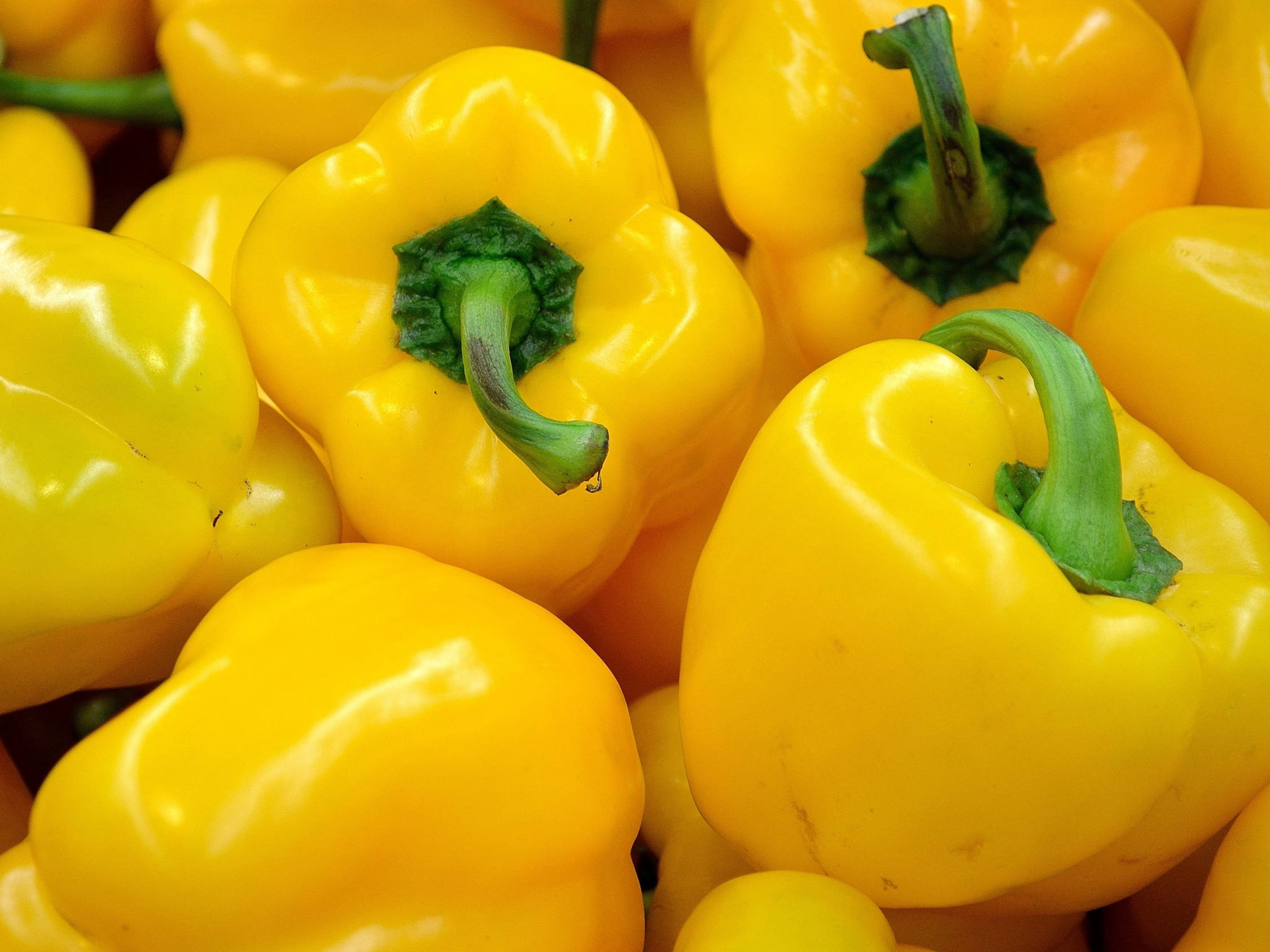 pepper 桌布 壁紙 — 鮮黃色甜椒，表皮光滑，綠色莖部緊密聚集在一起。