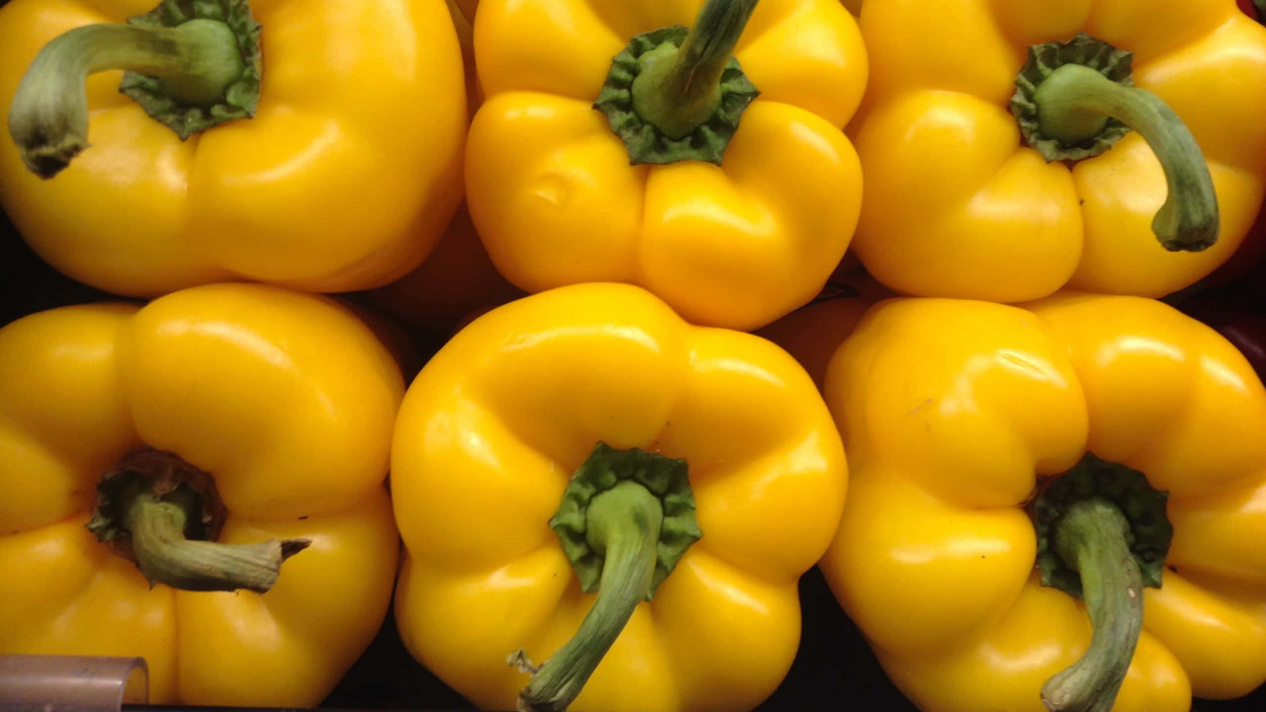 Yellow Bell Pepper 桌布 壁紙 — 鮮黃色甜椒搭配綠色莖部緊密排列，展現光澤表皮和自然曲線。