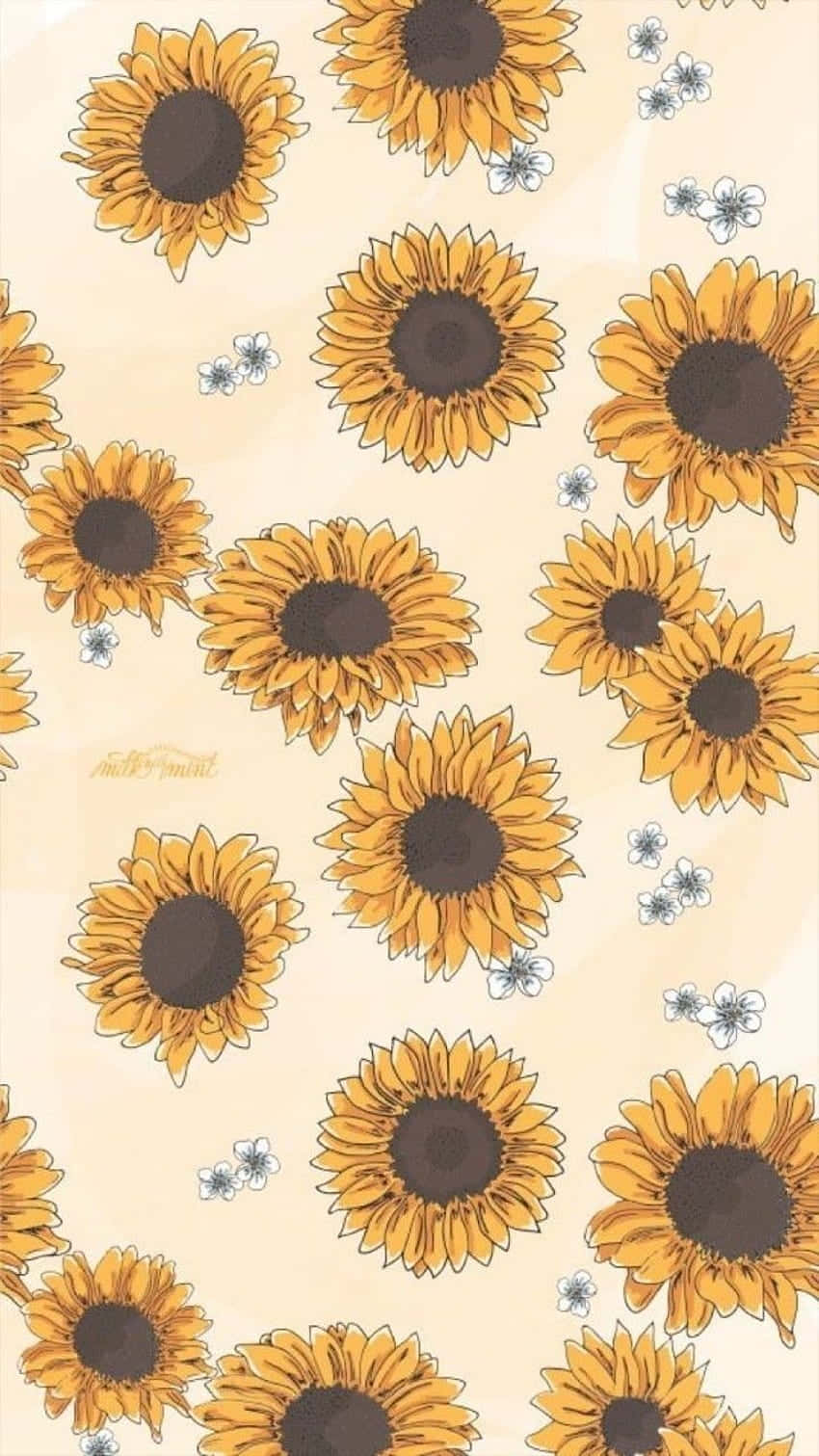 Yellow Sunflower Aesthetic 桌布 壁紙 — 鮮黃色的向日葵，帶有深色花心和精緻的白色花朵，散落在柔和的奶油色背景上。