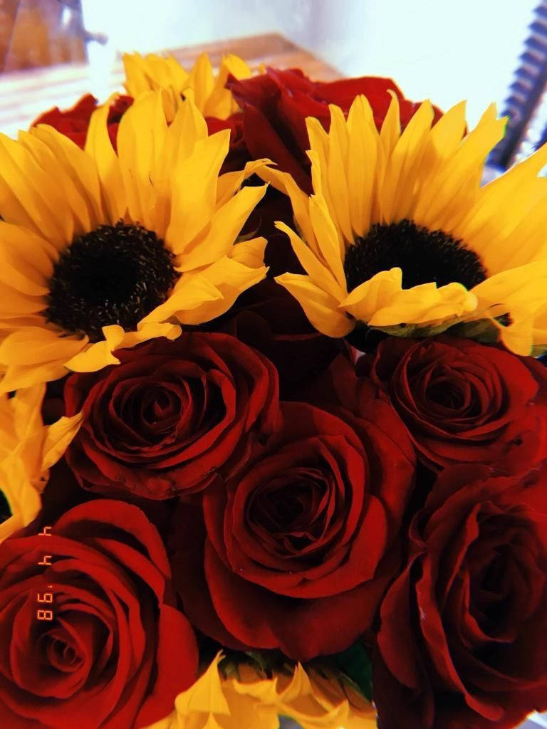 Sunflower And Roses 桌布 壁紙 — 鮮黃色的向日葵和深紅色的玫瑰在茂密的近距離花卉佈置中一起盛開。