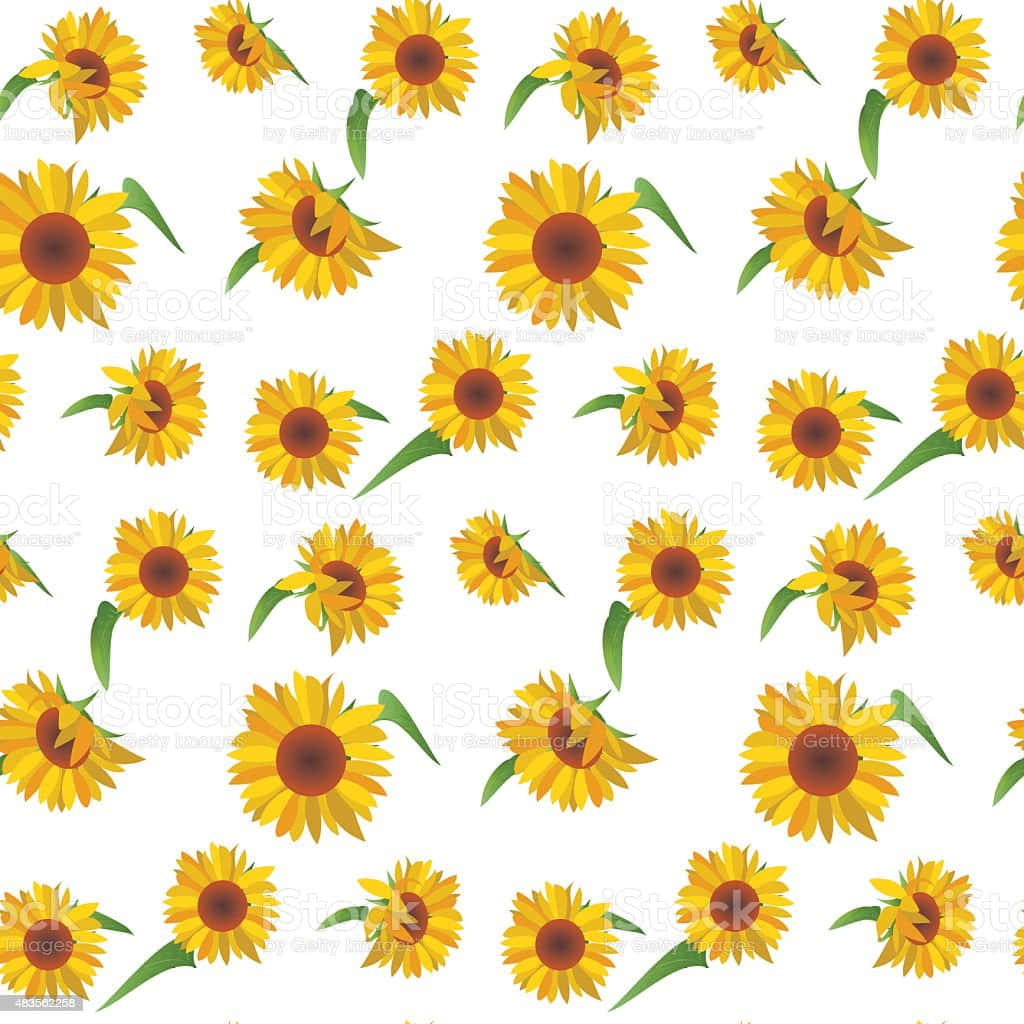 Sunflowers 桌布 壁紙 — 鮮黃色的向日葵搭配綠色莖幹，在潔白背景上重複形成歡樂的無縫圖案。