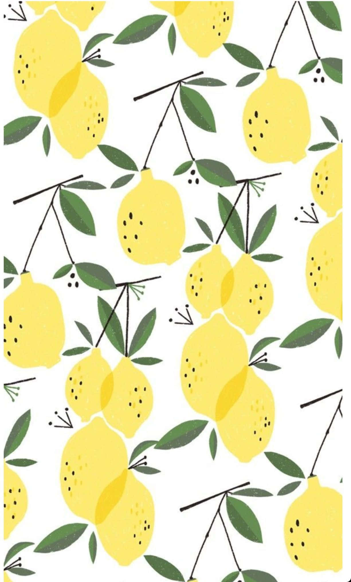 Summer iPhone 桌布 壁紙 — 鮮黃色的檸檬配上綠葉，從細枝上垂掛下來，在白色背景上形成歡快的重複圖案。