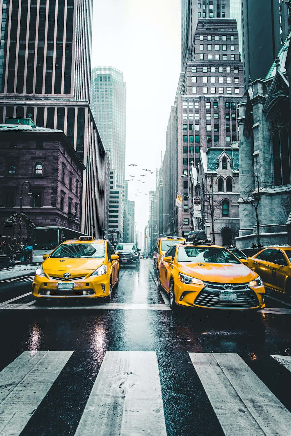 Yellow Cab 桌布 壁紙 — 鮮黃色的計程車在雨濕的城市峽谷中滑行，兩旁是高聳的摩天大樓和歷史建築。