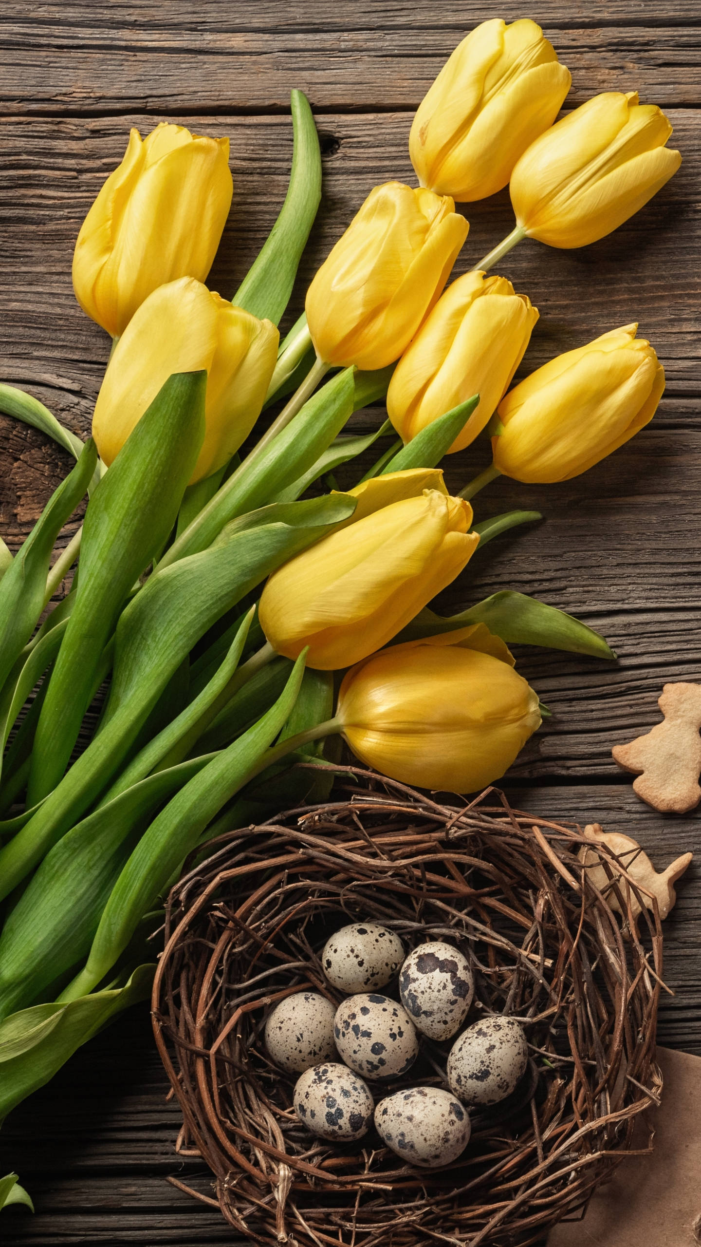 Tulips 桌布 壁紙 — 鮮黃色鬱金香和斑點蛋放在編織巢中，置於質樸的深色木質表面上。