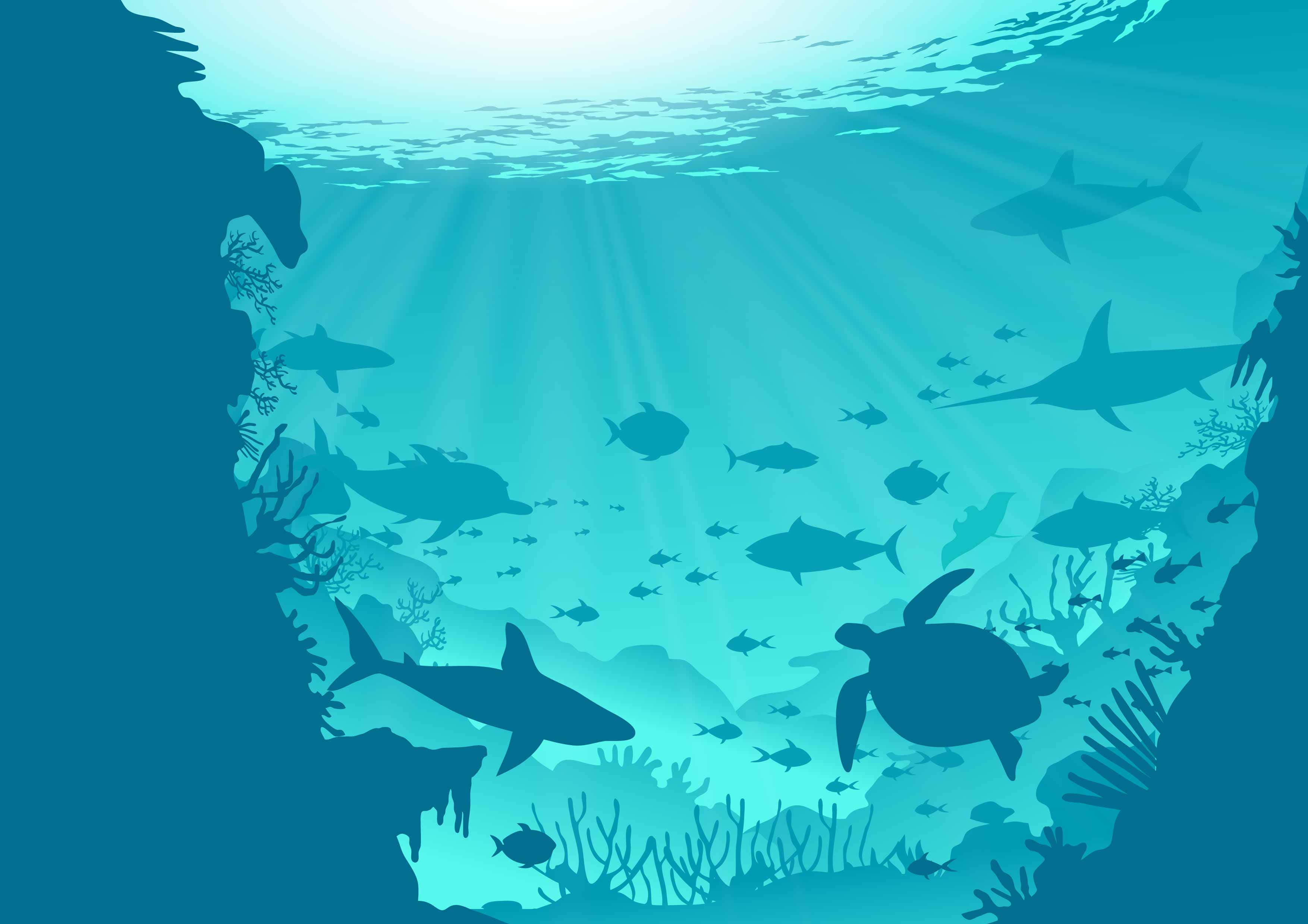 海洋 桌布 壁紙 — 鯊魚和海龜的剪影在陽光照耀的碧綠海水中滑行，周圍是珊瑚礁懸崖。