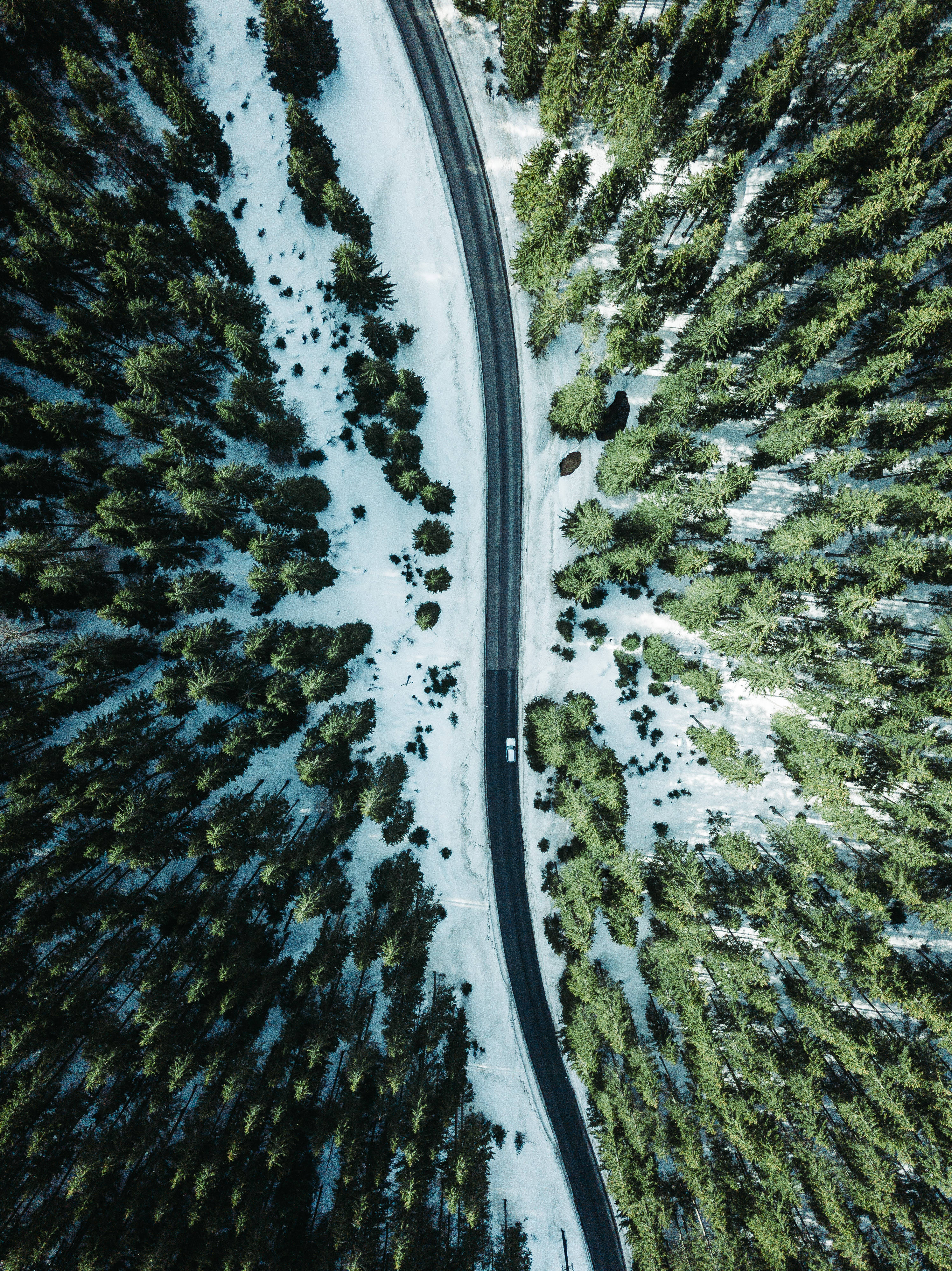 Austria 桌布 壁紙 — 鳥瞰一條蜿蜒的道路穿過白雪覆蓋的松樹林，有一輛孤獨的汽車行駛。