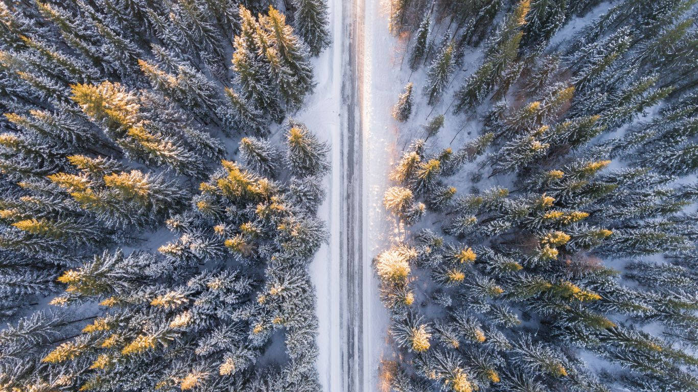 桌布 壁紙 — 鳥瞰圖：一條積雪的道路穿過茂密的森林，霜雪覆蓋的常青樹在金色陽光下閃耀。