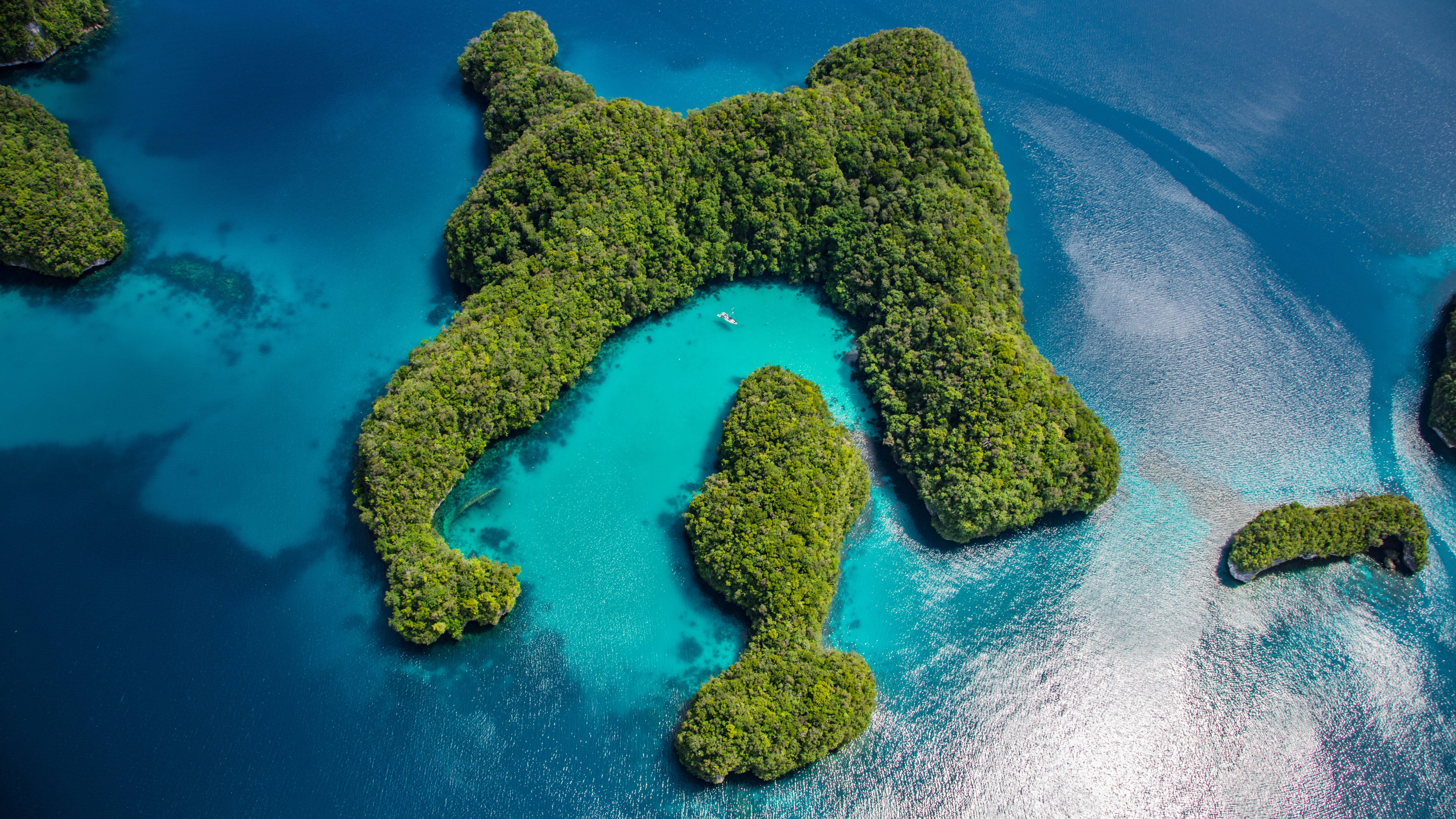 Palau 桌布 壁紙 — 鳥瞰圖：一片翠綠、形狀像狗的島嶼，周圍是碧綠的海水，附近有一艘小船。