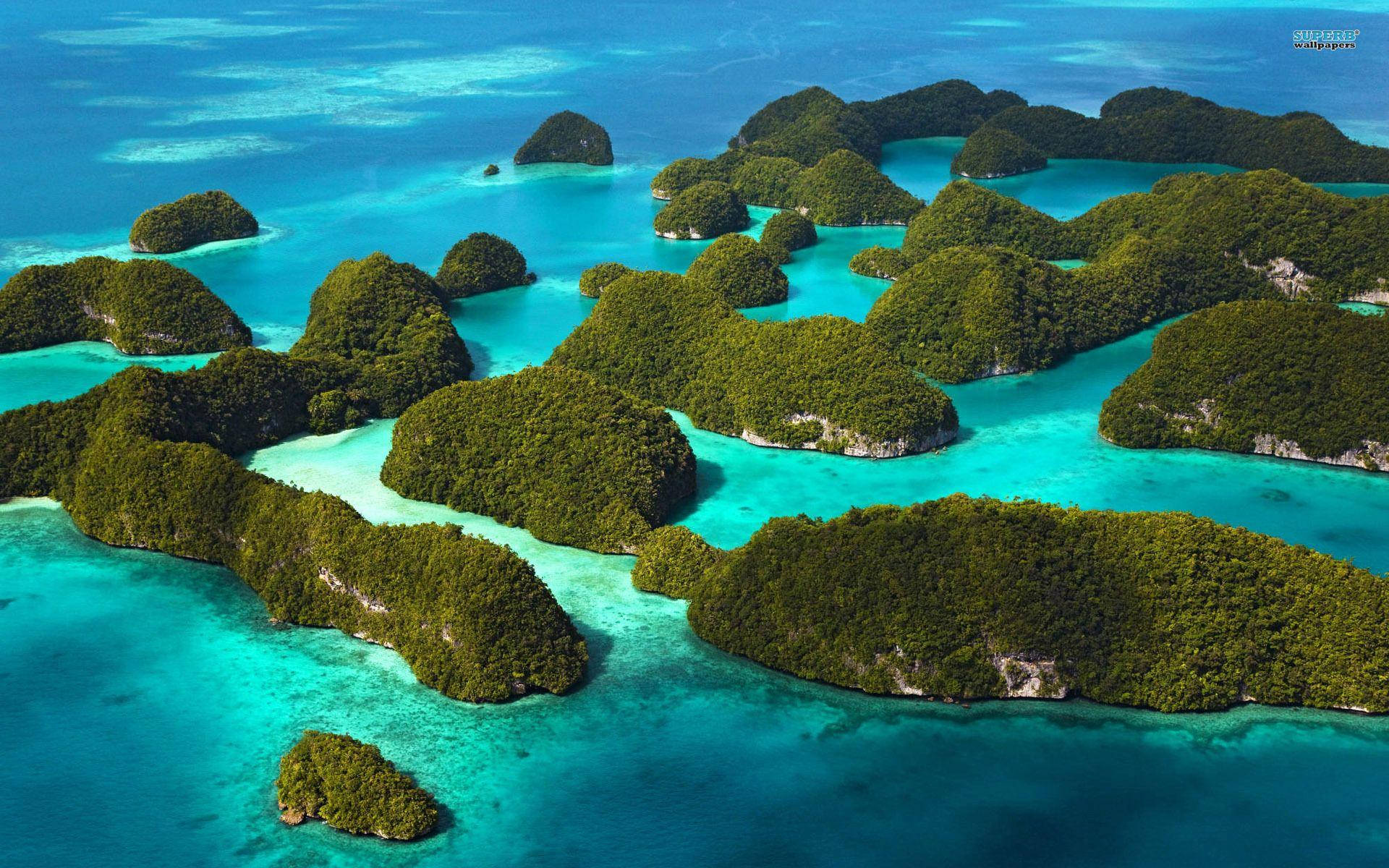 Palau 桌布 壁紙 — 鳥瞰圖：在明亮日光下，鬱鬱蔥蔥的綠色島嶼散落在充滿活力的碧綠水域中。