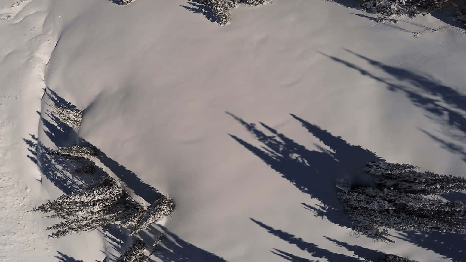 Snow 4K 桌布 壁紙 — 鳥瞰圖：白雪覆蓋的樹木在明亮的陽光下，在純淨的冬季山坡上投下長長的暗影。