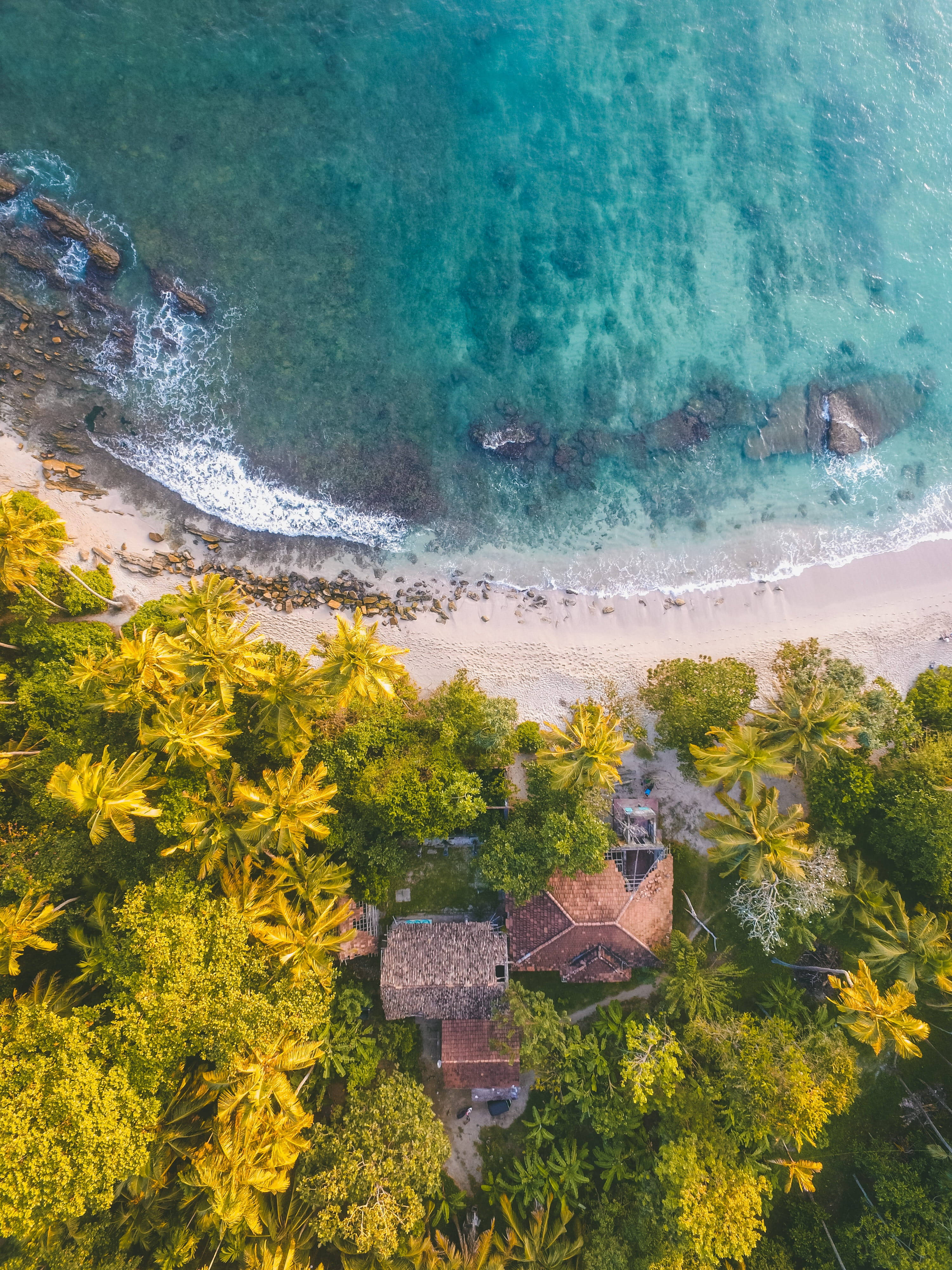 Sri Lanka 桌布 壁紙 — 鳥瞰圖：碧綠海浪拍打沙灘，旁邊有茂密的綠色棕櫚樹和質樸的茅草屋頂小屋。