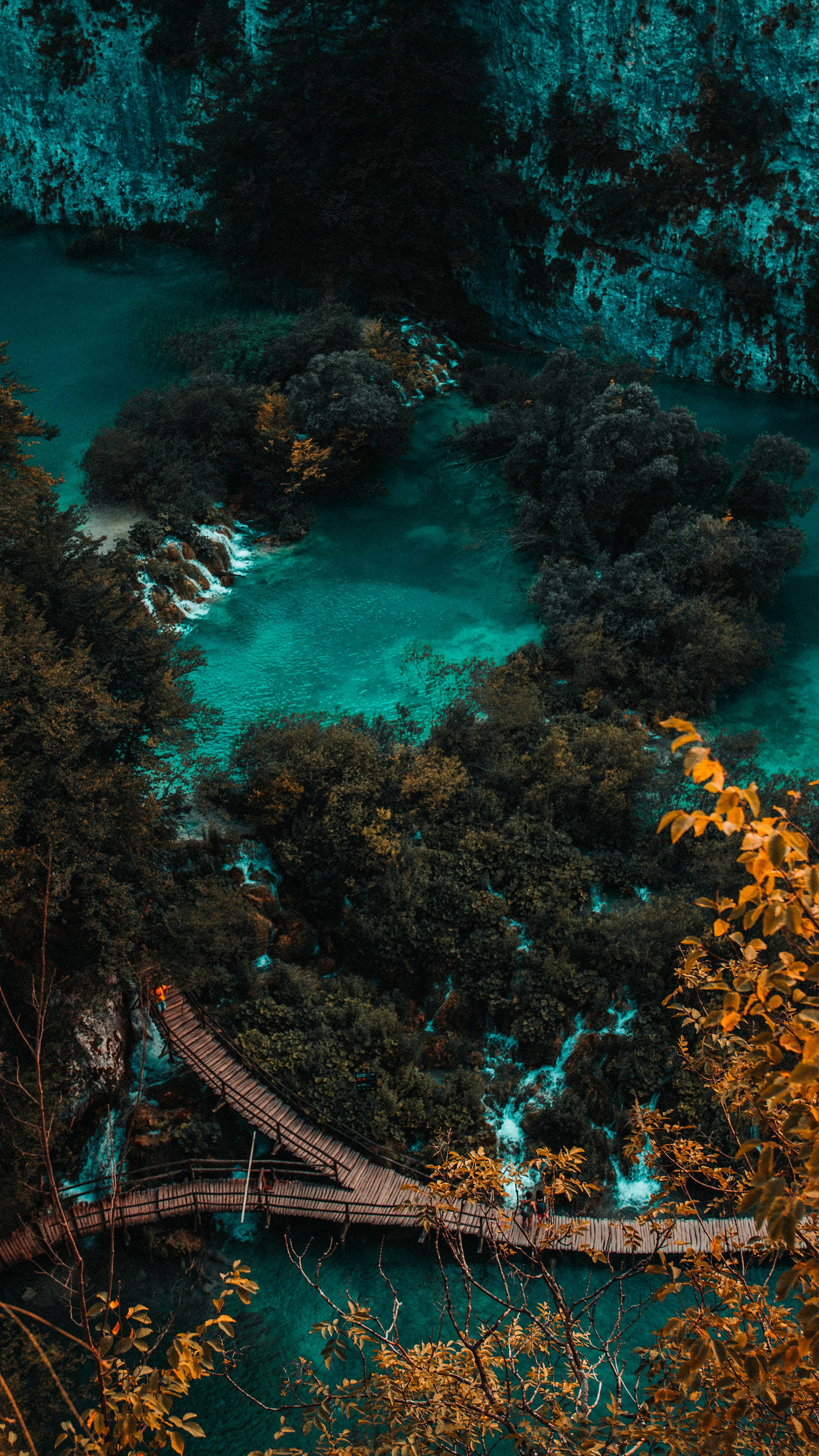 Landscapes 桌布 壁紙 — 鳥瞰圖，碧綠色的水流蜿蜒穿過茂密的森林，一條木製步道蜿蜒穿過場景。