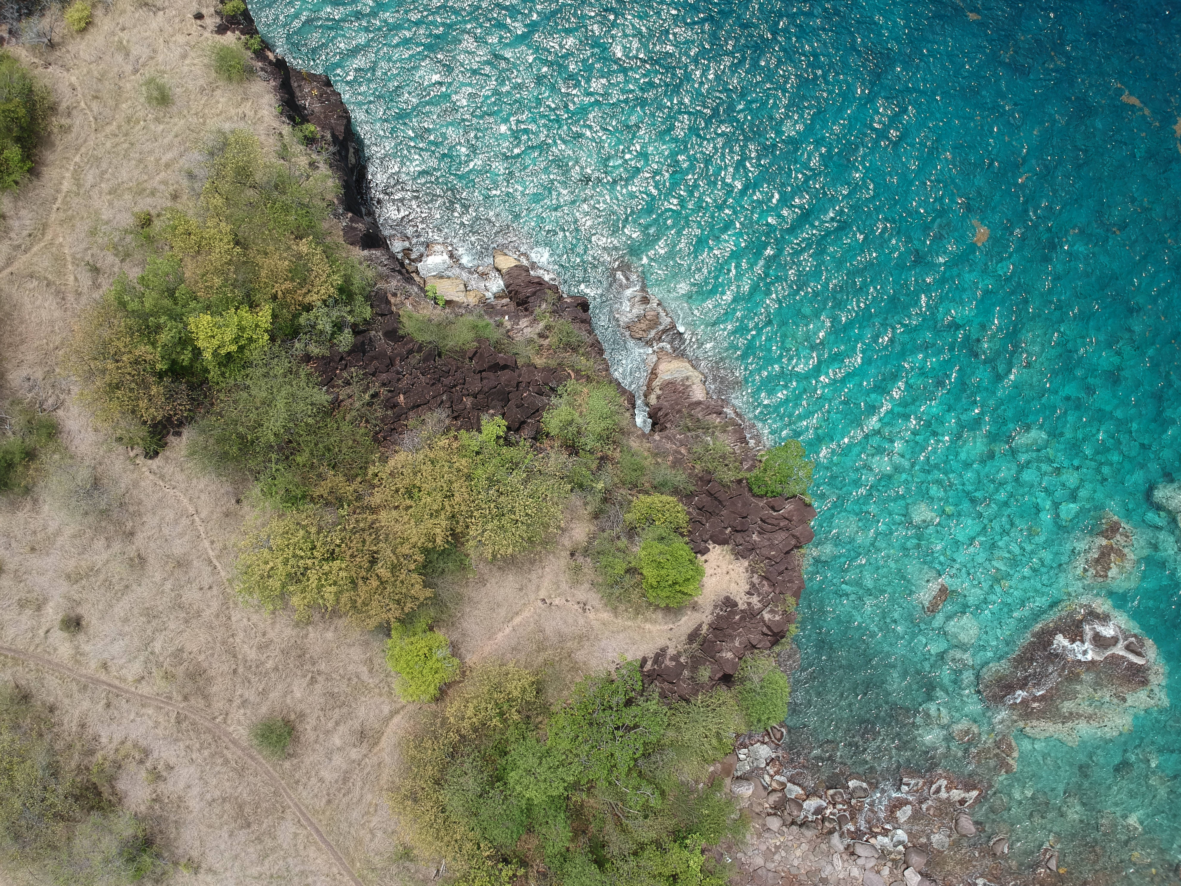 Guadeloupe 桌布 壁紙 — 鳥瞰圖：綠松石色的海洋撞擊深色火山懸崖，乾燥土地上長有綠色灌木。