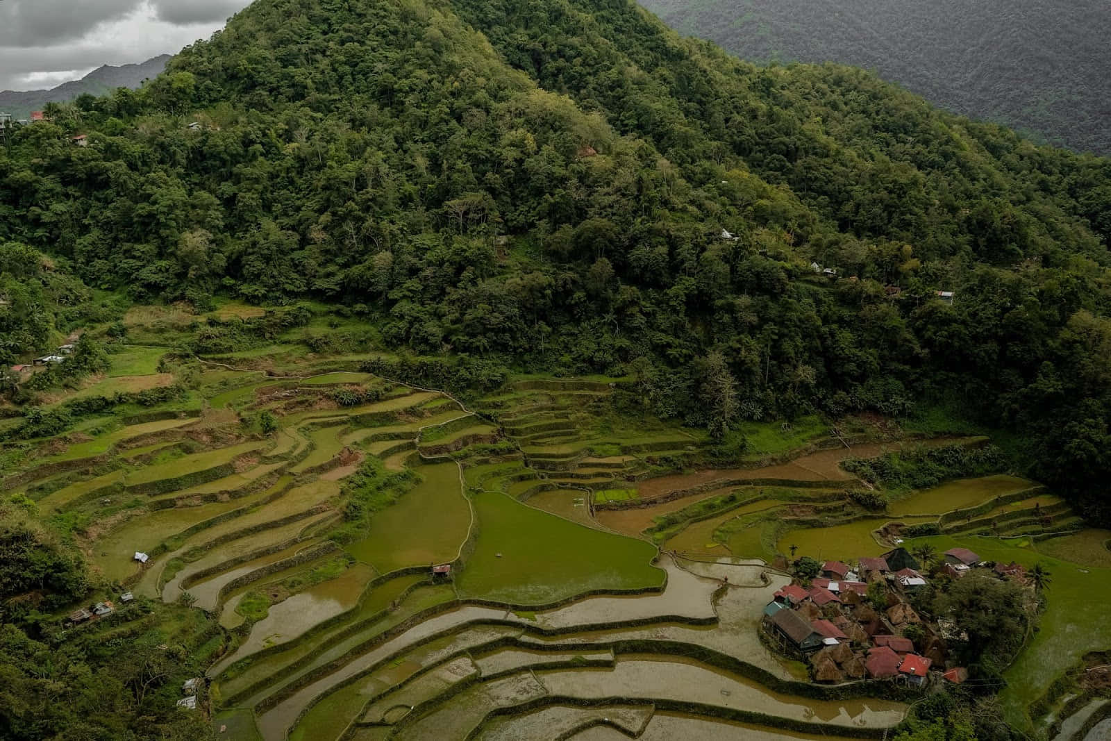 山景 桌布 壁紙 — 鳥瞰圖：翠綠的梯田蜿蜒於森林覆蓋的山巒，山腳下坐落著一個小村莊。