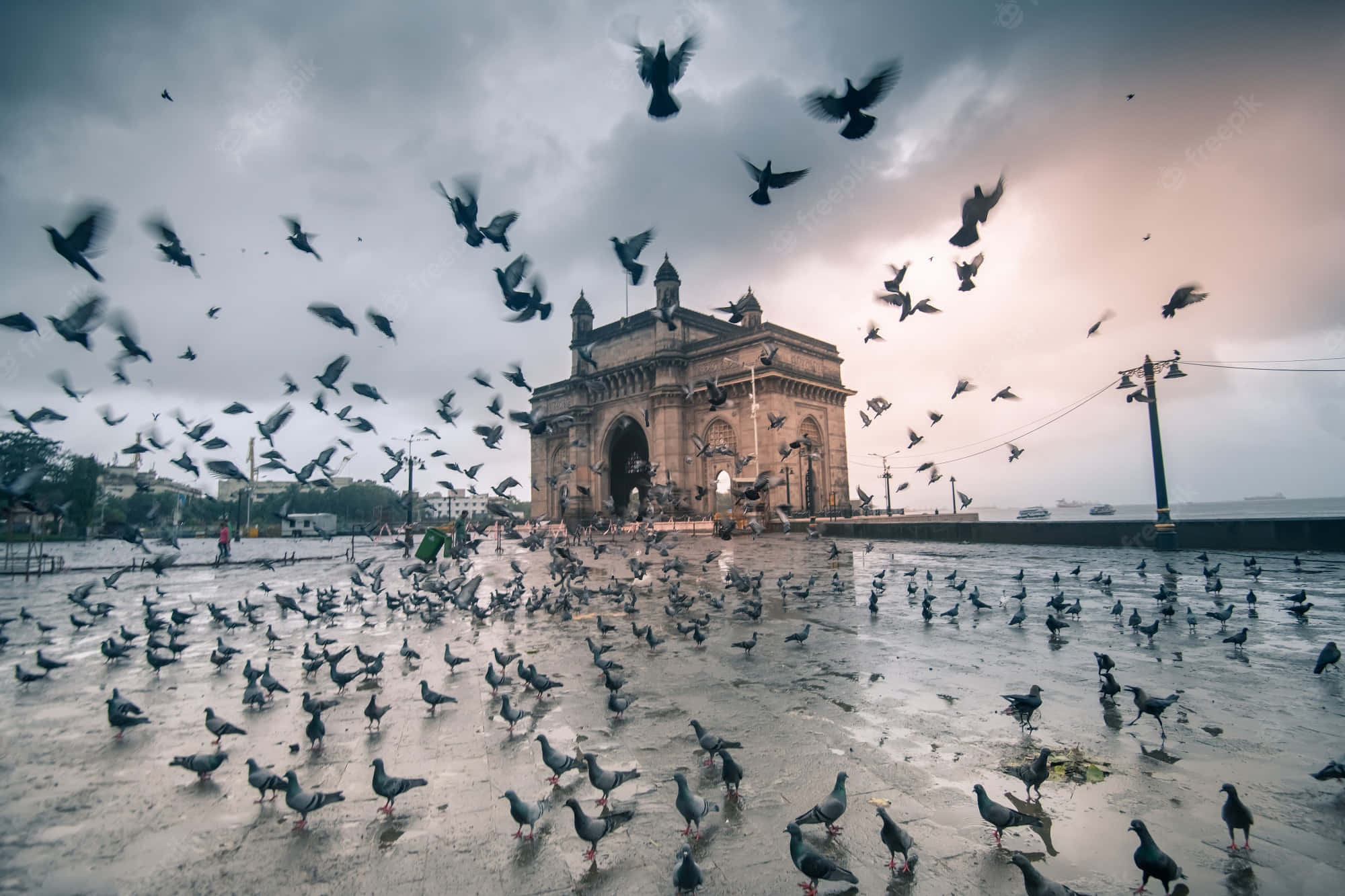 Birds Flying 桌布 壁紙 — 鴿子在印度門前的濕漉漉廣場上成群結隊地飛散，背景是陰鬱的黃昏天空。