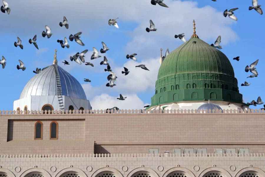 Madina 桌布 壁紙 — 鴿子在藍天下翱翔，飛越一座歷史石建築上的兩個圓頂，一個綠色，一個銀色。