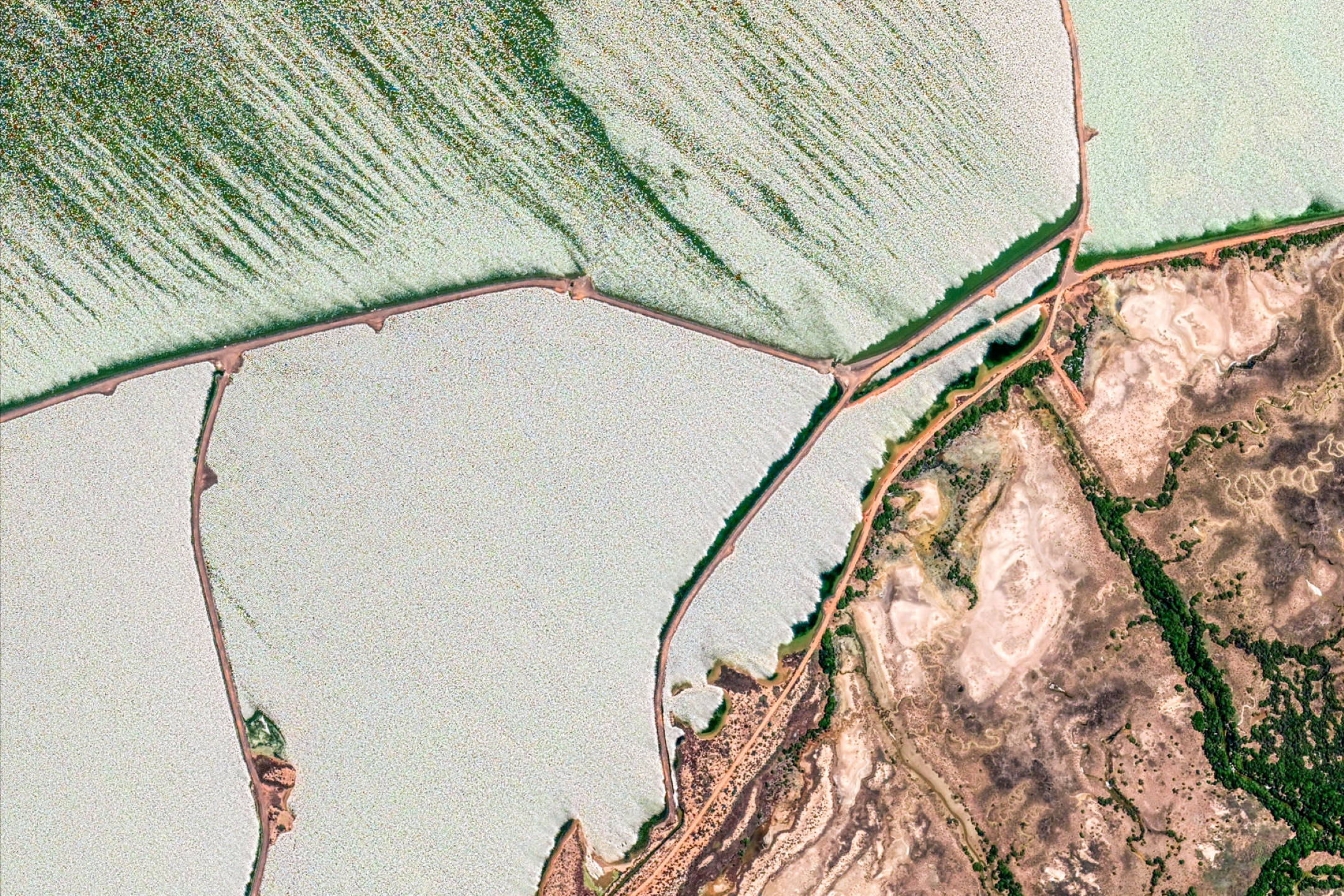 Google 地球 桌布 壁紙 — 鹽湖的鳥瞰圖，蜿蜒的道路和綠色植被沿其邊緣分佈。