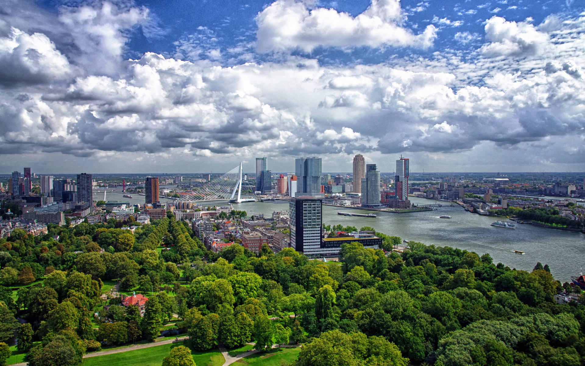 Netherlands 桌布 壁紙 — 鹿特丹天際線的鳥瞰圖，伊拉斯謨斯橋和河流被鬱鬱蔥蔥的公園環繞，天空多雲而戲劇化。