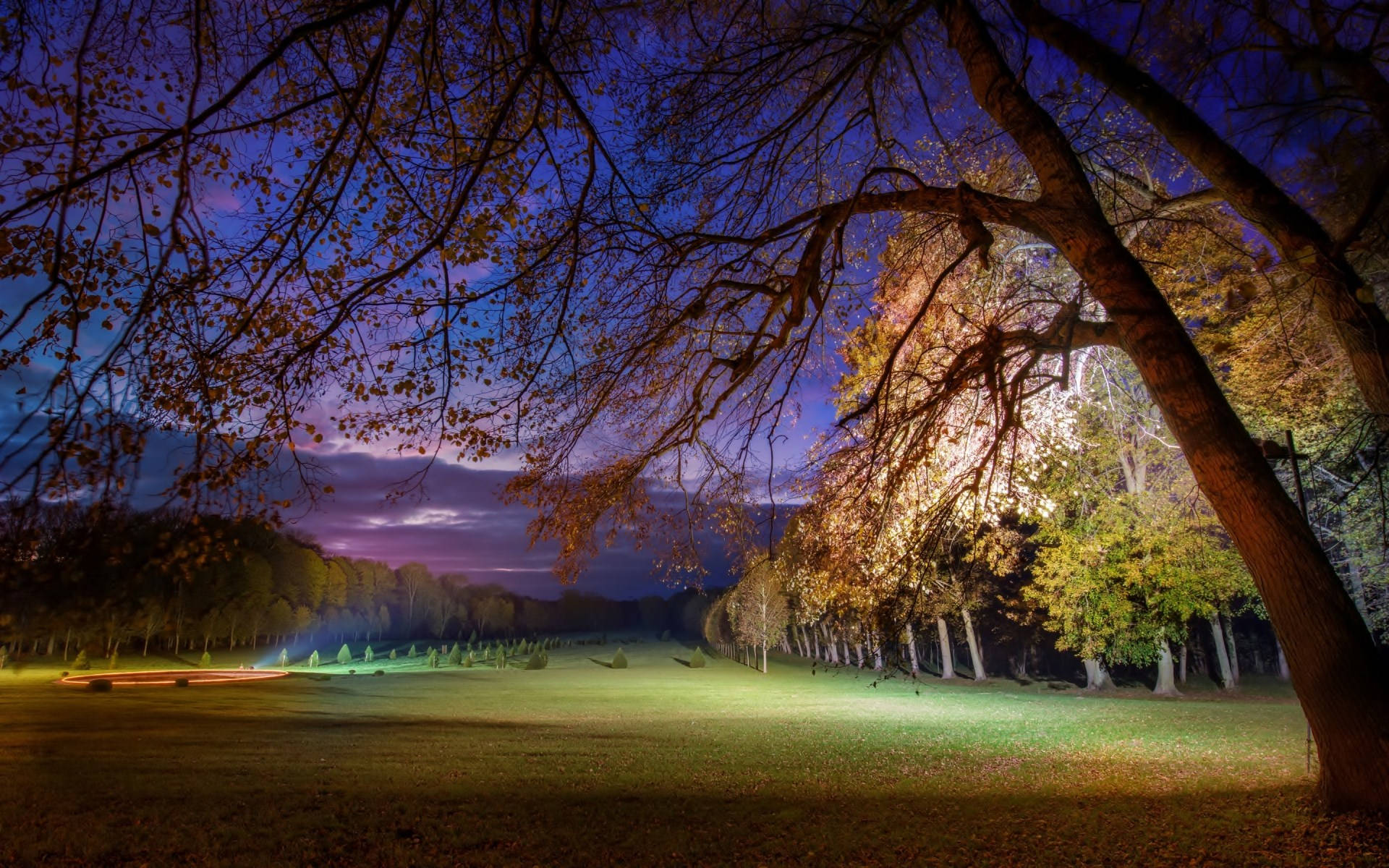 公園 桌布 壁紙 — 黃昏公園場景，光禿禿的樹枝在紫色天空和照明草地的襯托下形成剪影。