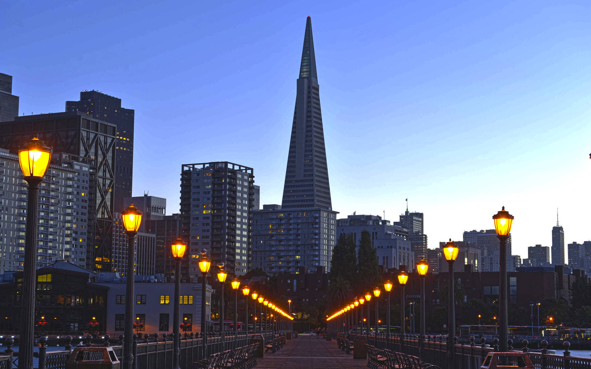 lights 桌布 壁紙 — 黃昏城市景觀，以標誌性的Salesforce Tower和海濱長廊上閃爍的路燈為特色。
