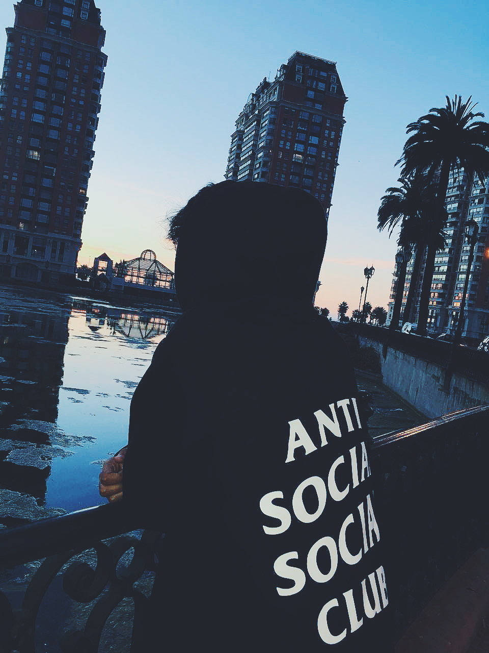 club 桌布 壁紙 — 黃昏時分，一個人穿著連帽衫，上面有「ANTI SOCIAL SOCIAL CLUB」字樣，站在海濱，背景是高樓大廈和棕櫚樹的剪影。
