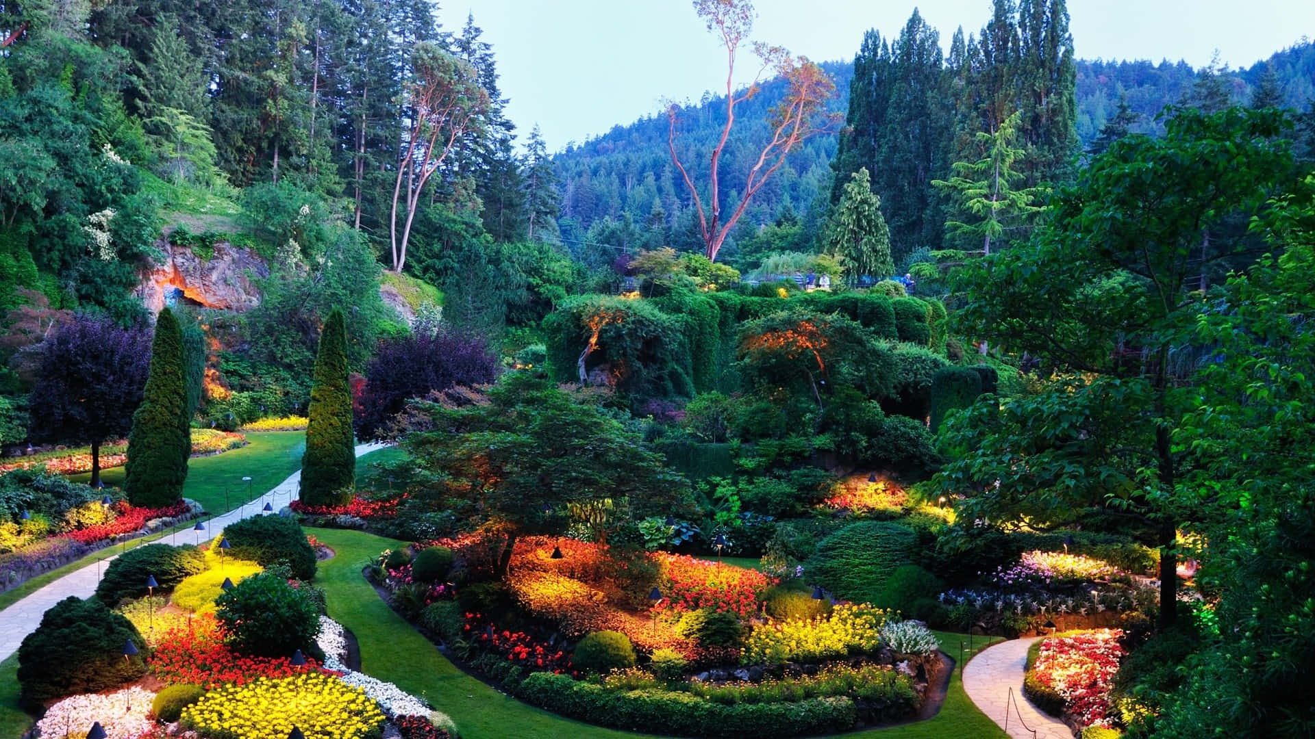 Botanical Garden 桌布 壁紙 — 黃昏時分，一個充滿活力的燈光花園，色彩繽紛的花壇蜿蜒穿過茂密的綠植和高大的樹木。