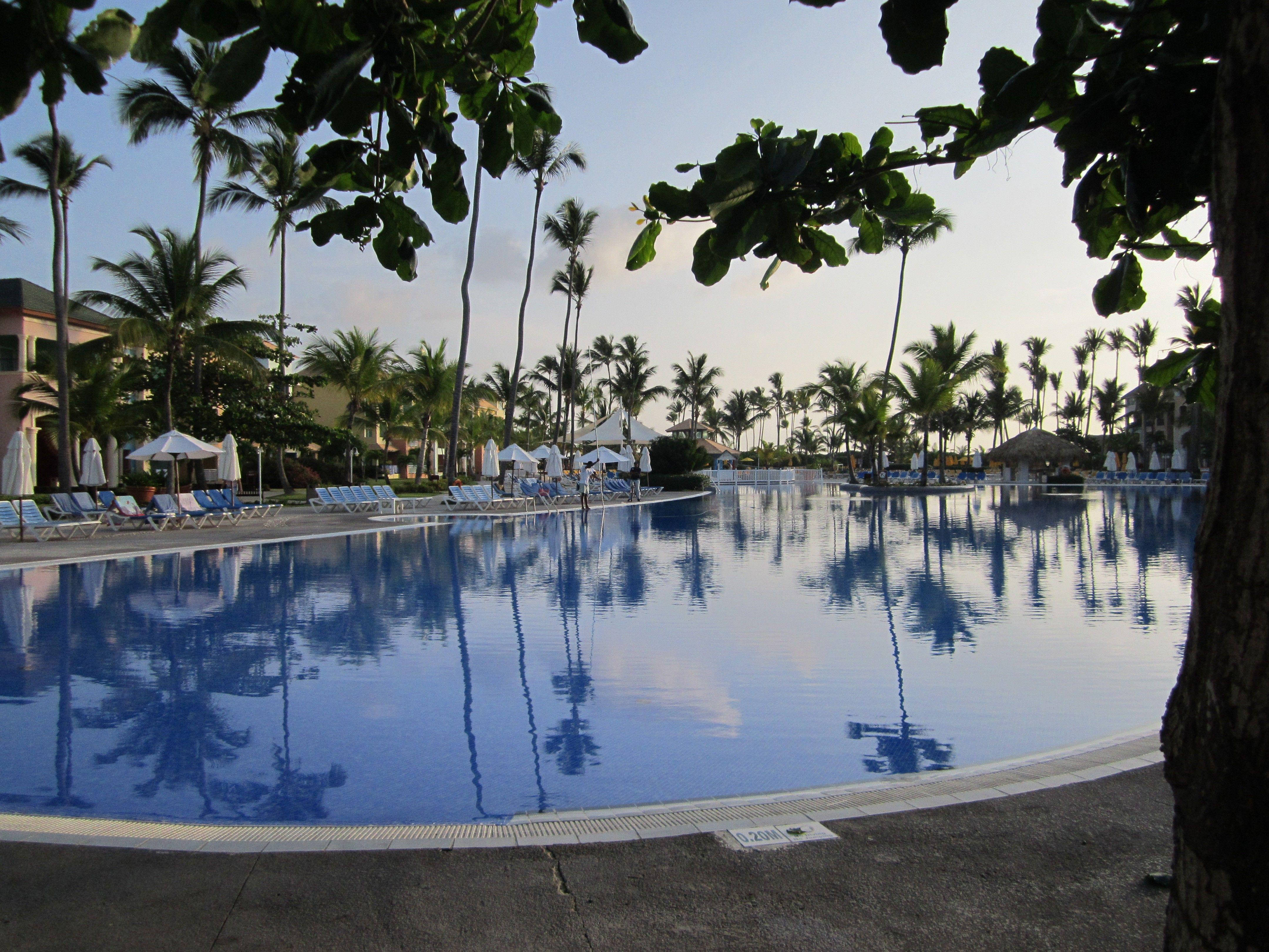Hotel 桌布 壁紙 — 黃昏時分，一個寧靜的熱帶度假村泳池，四周環繞著茂密的棕櫚樹和枝葉，平靜的藍色水面倒映著天空。