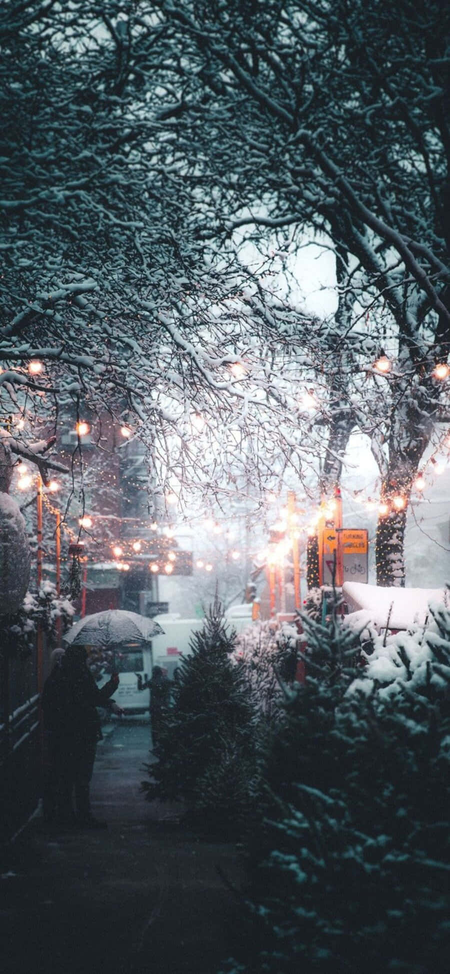 Cute Winter Aesthetic 桌布 壁紙 — 黃昏時分，一條積雪的城市小巷，燈串在積雪的樹木和常青樹間溫暖地閃耀。