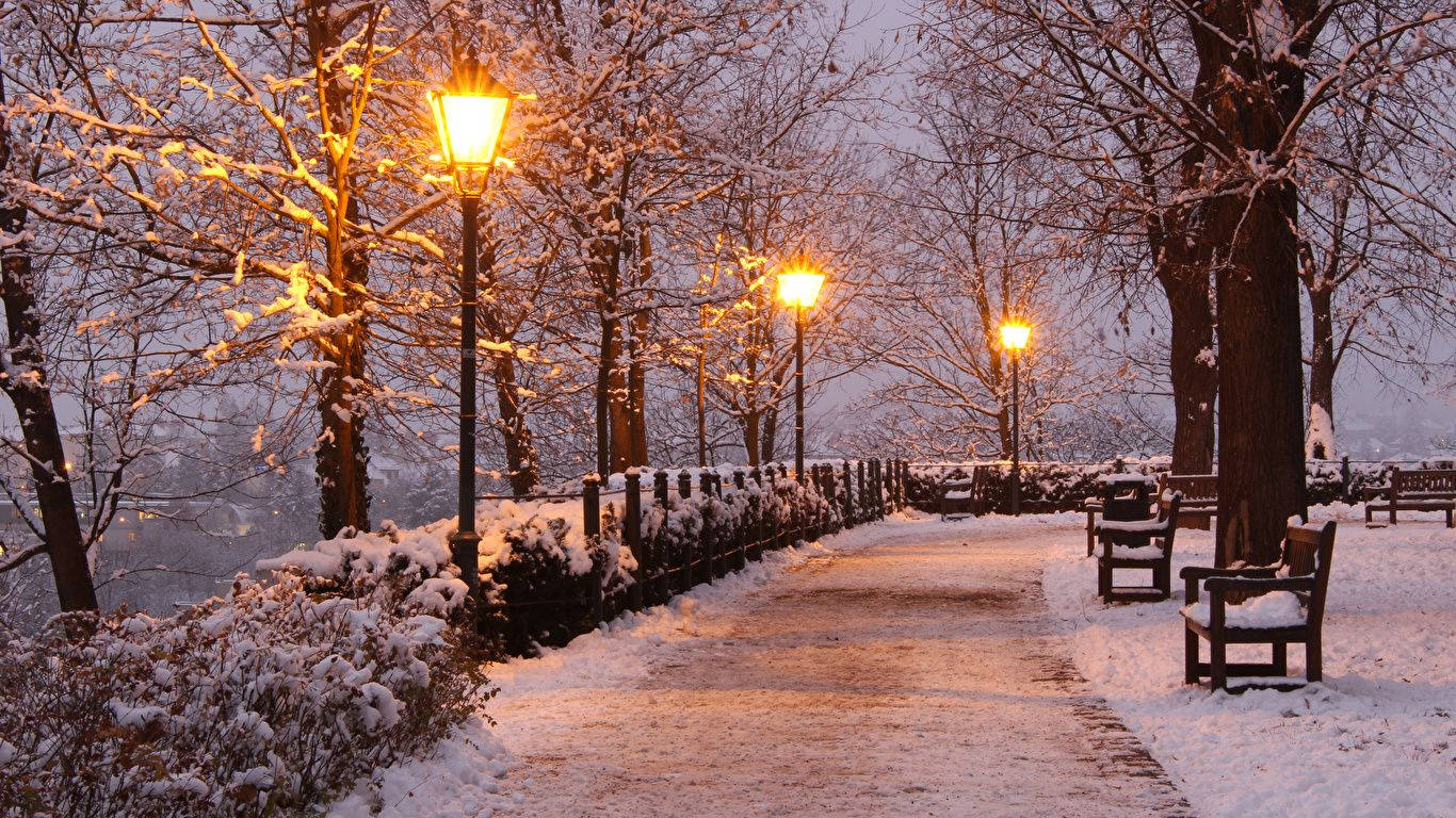 桌布 壁紙 — 黃昏時分，一條被雪覆蓋的公園小徑被溫暖發光的街燈照亮，在金黃色的燈光下映照著光禿禿的樹木和長椅。