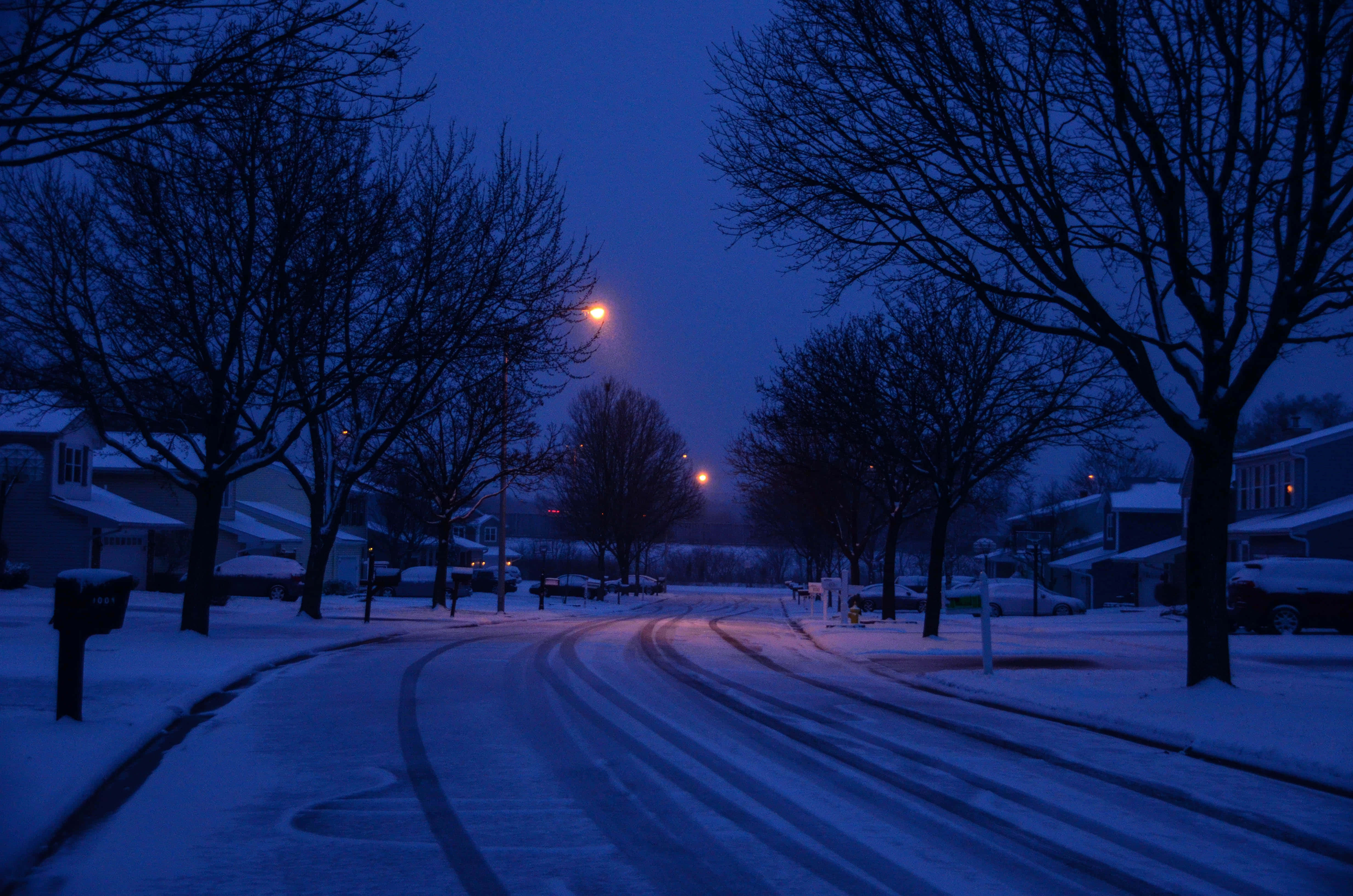 Neighborhood 桌布 壁紙 — 黃昏時分，一條被雪覆蓋的郊區街道，光禿禿的樹木和發光的街燈投下長長的影子。