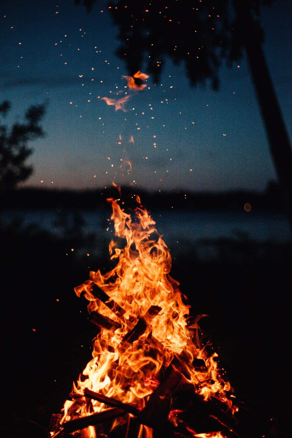 Flames 桌布 壁紙 — 黃昏時分，咆哮的營火將火花射向深藍色的暮色天空和剪影樹木。