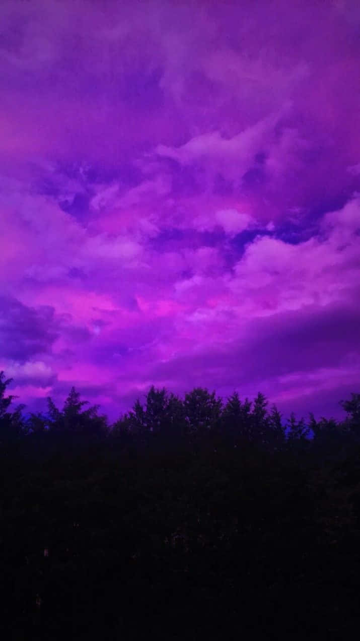 Aesthetic Purple 桌布 壁紙 — 黃昏時分，帶有漩渦雲彩的戲劇性紫色天空籠罩在黑暗的樹梢剪影之上。