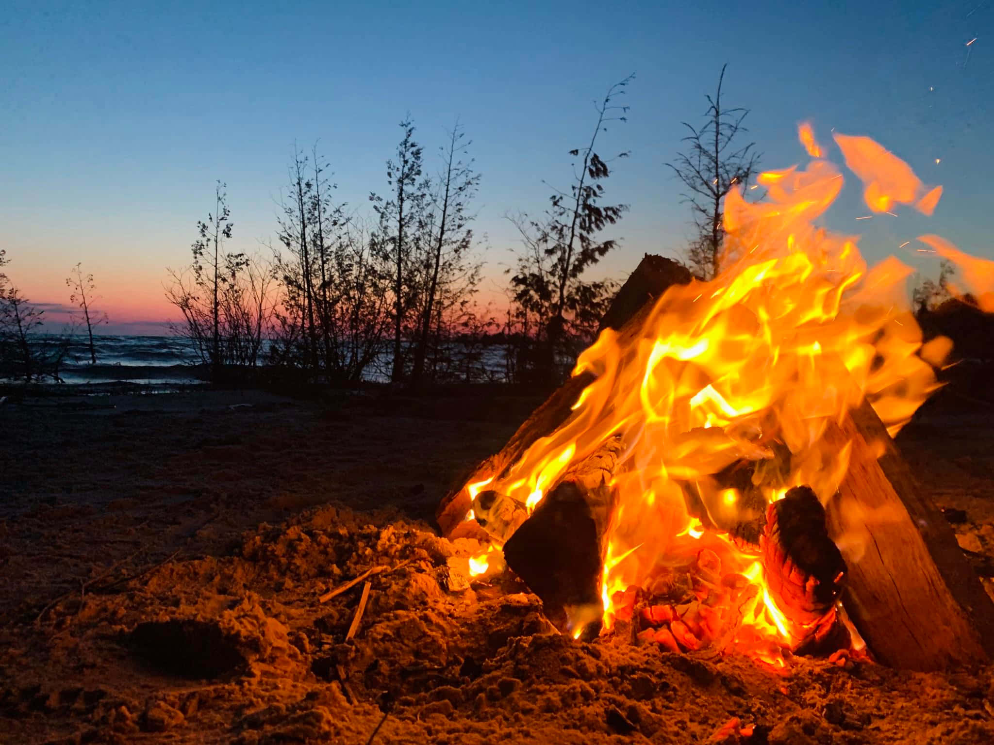 Beach Bonfire 桌布 壁紙 — 黃昏時分，沙灘上熊熊燃燒的營火明亮地燃燒著，背景是剪影般的樹木和寧靜的海洋。