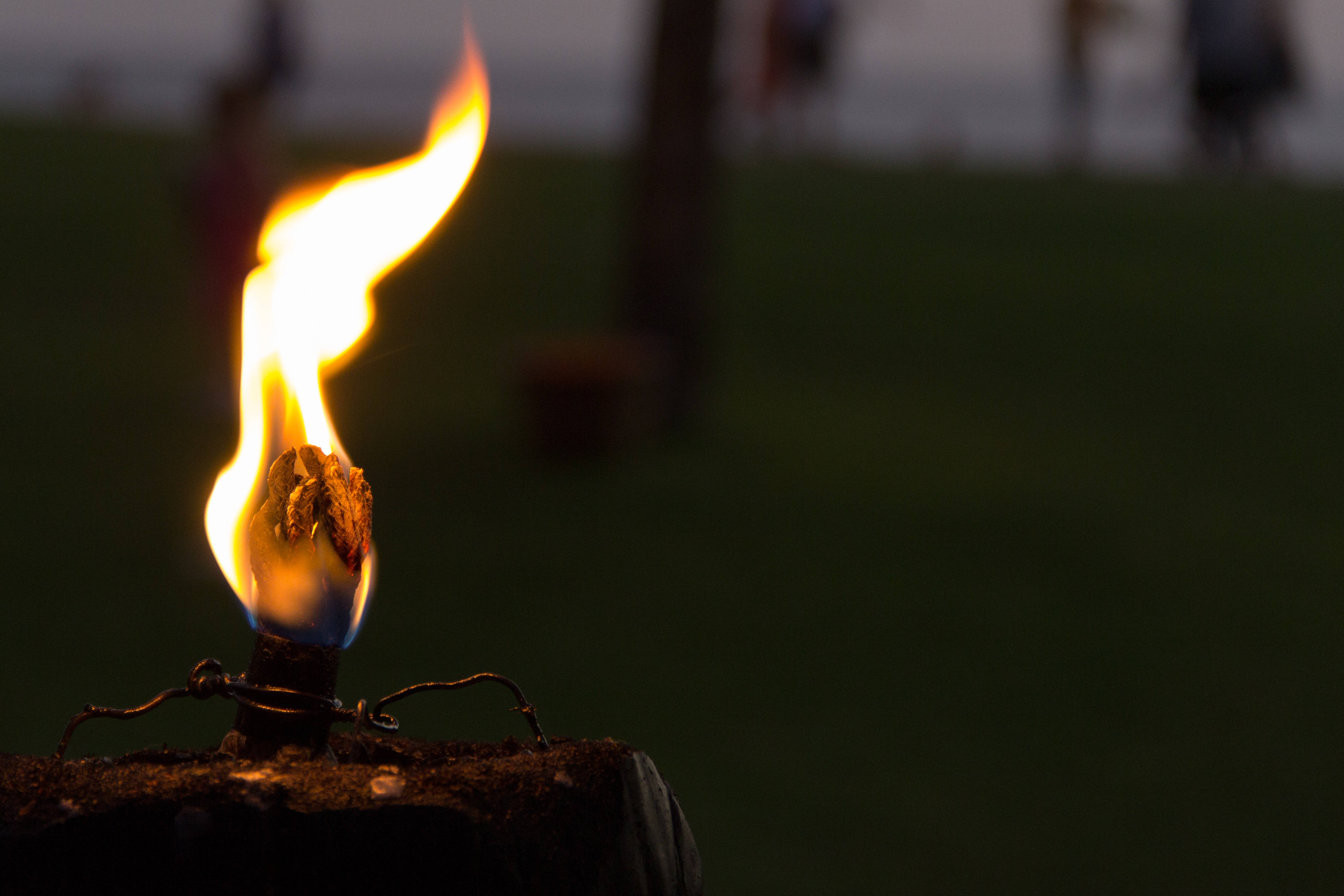 Flame 桌布 壁紙 — 黃昏時分，火炬閃爍的火焰在深綠色草地背景上明亮燃燒的特寫。