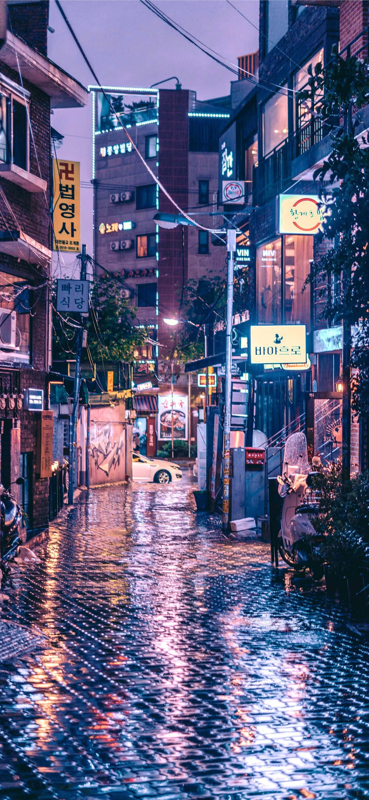 南韓 桌布 壁紙 — 黃昏時分，雨水浸濕的小巷反射著霓虹燈招牌和街燈，構成充滿活力的城市景象。