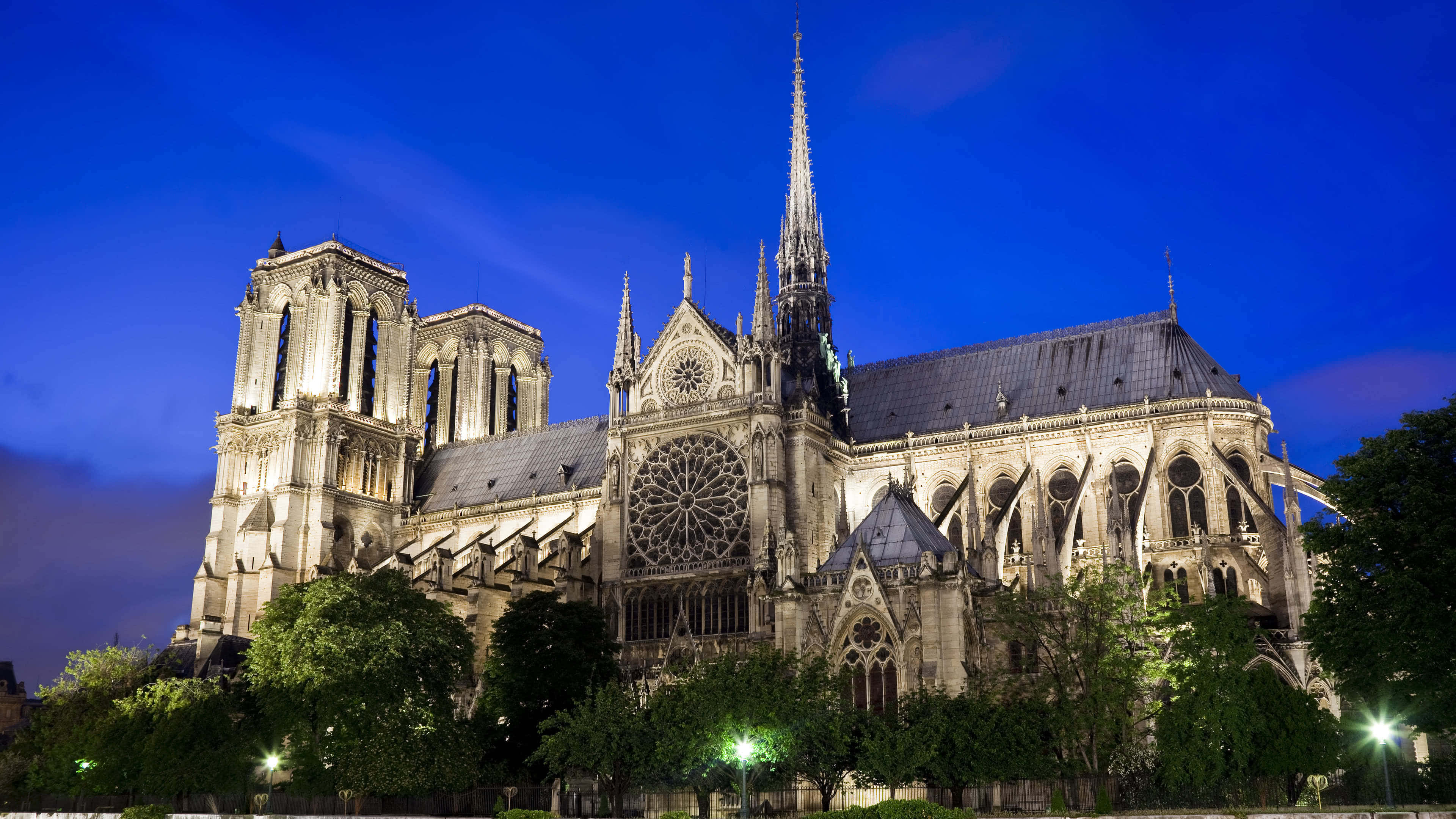Notre Dame 桌布 壁紙 — 黃昏時分亮燈的聖母院，深藍天空與下方發光的樹木。
