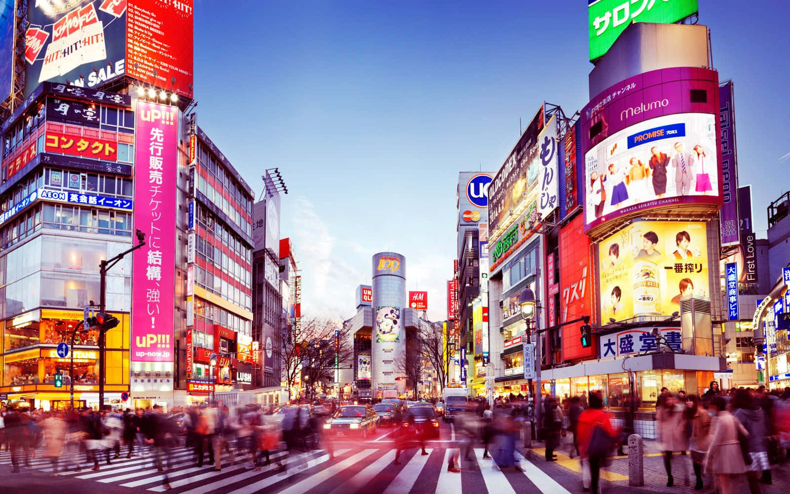 城市 桌布 壁紙 — 黃昏時分充滿活力的東京街道，閃爍的霓虹燈招牌和模糊的行人穿過繁忙的十字路口。