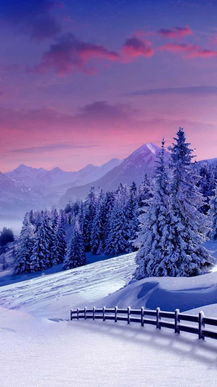 Winter 桌布 壁紙 — 黃昏時分白雪覆蓋的山景，粉紫色天空，積雪的松樹。