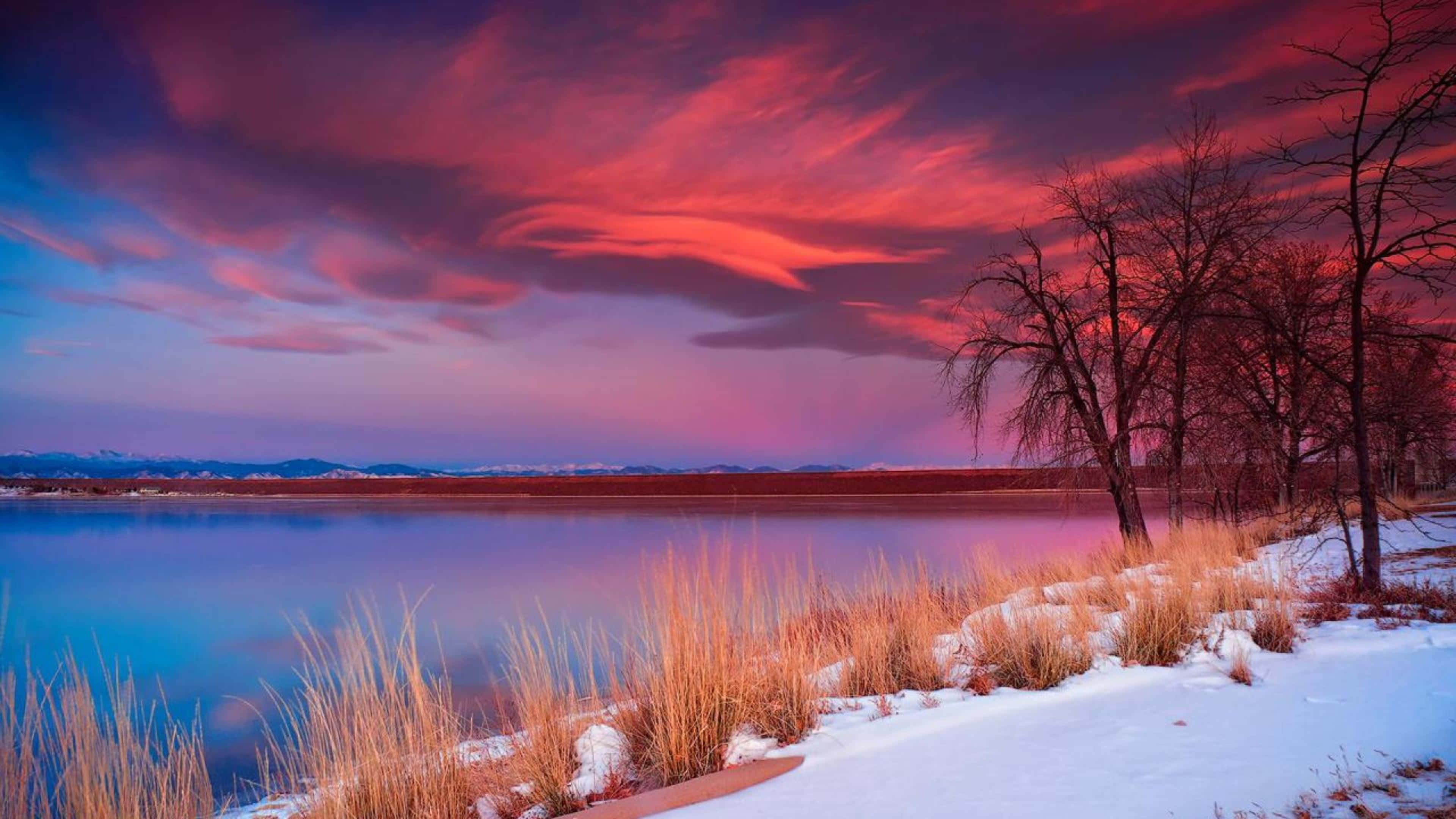 Colorful Sky 桌布 壁紙 — 黃昏時分白雪覆蓋的湖邊，光禿禿的樹木和鮮豔的粉紫色雲彩倒映在平靜的藍色水面上。