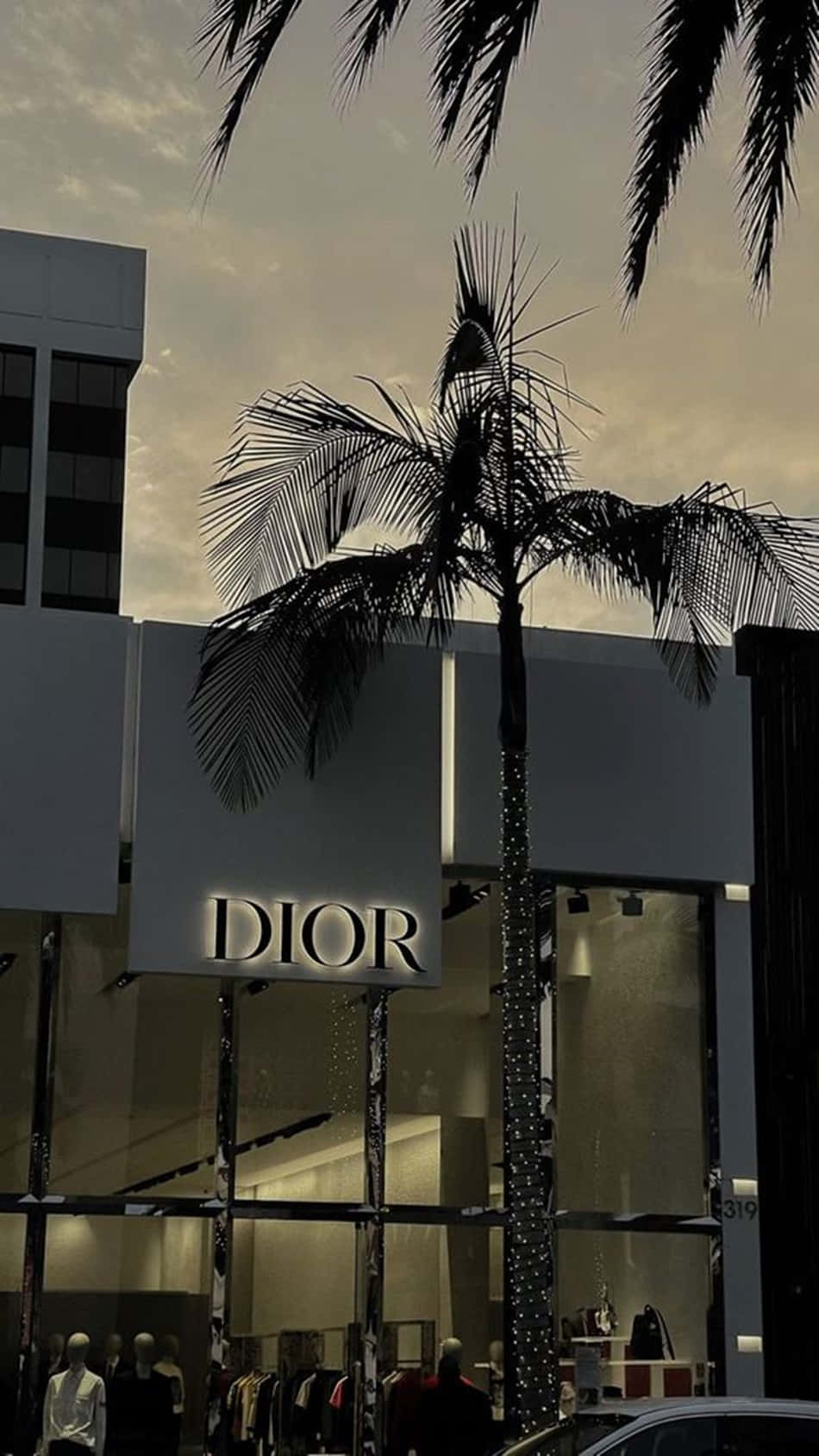 黃昏時分的Dior商店，棕櫚樹剪影和發光的招牌。 — Dior 動態 壁紙