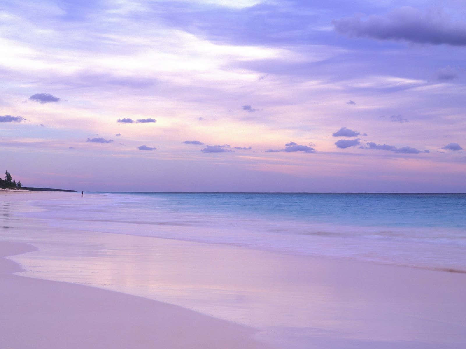 Bahamas Beach 桌布 壁紙 — 黃昏時分的寧靜海灘，柔和的粉紅色和紫色色調映照在平靜的碧綠海水和白色沙灘上。