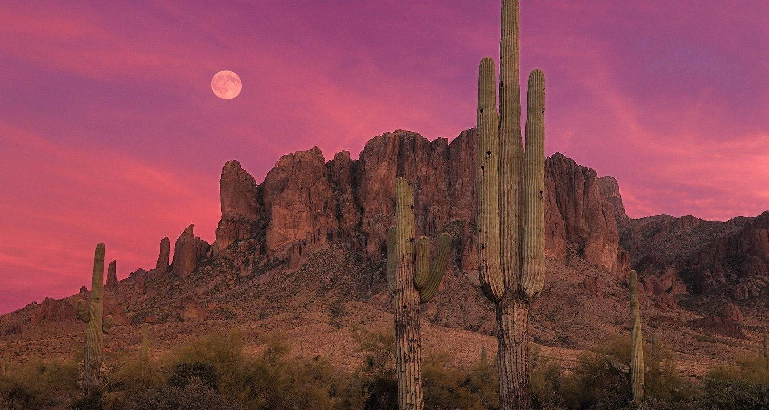 Arizona 桌布 壁紙 — 黃昏時分的沙漠景觀，高聳的薩瓜羅仙人掌在鮮豔的粉紅色天空和崎嶇岩石上方閃耀的滿月襯托下形成剪影。